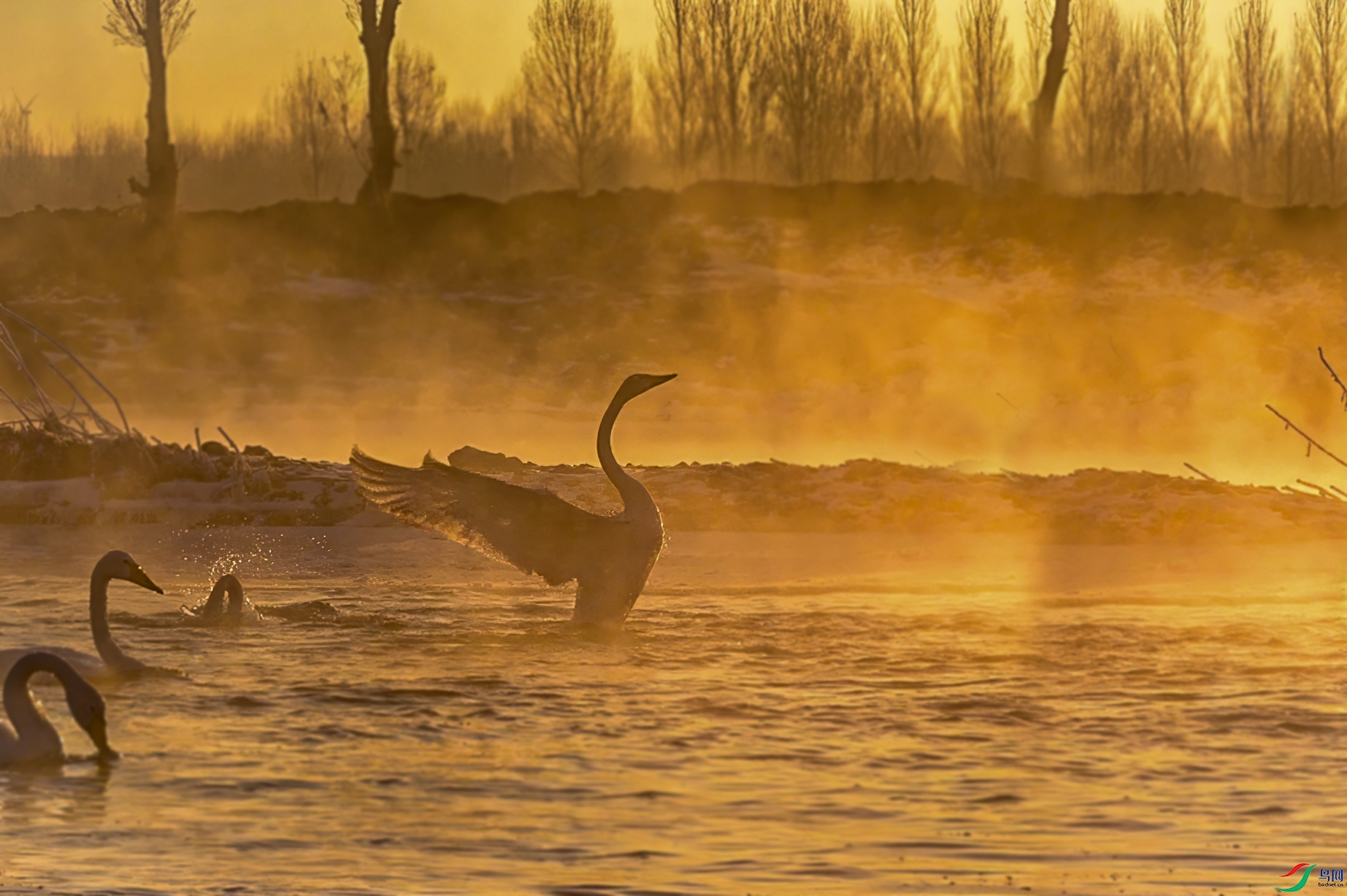 ΢��ͼƬ_20250206120357 ����...jpg