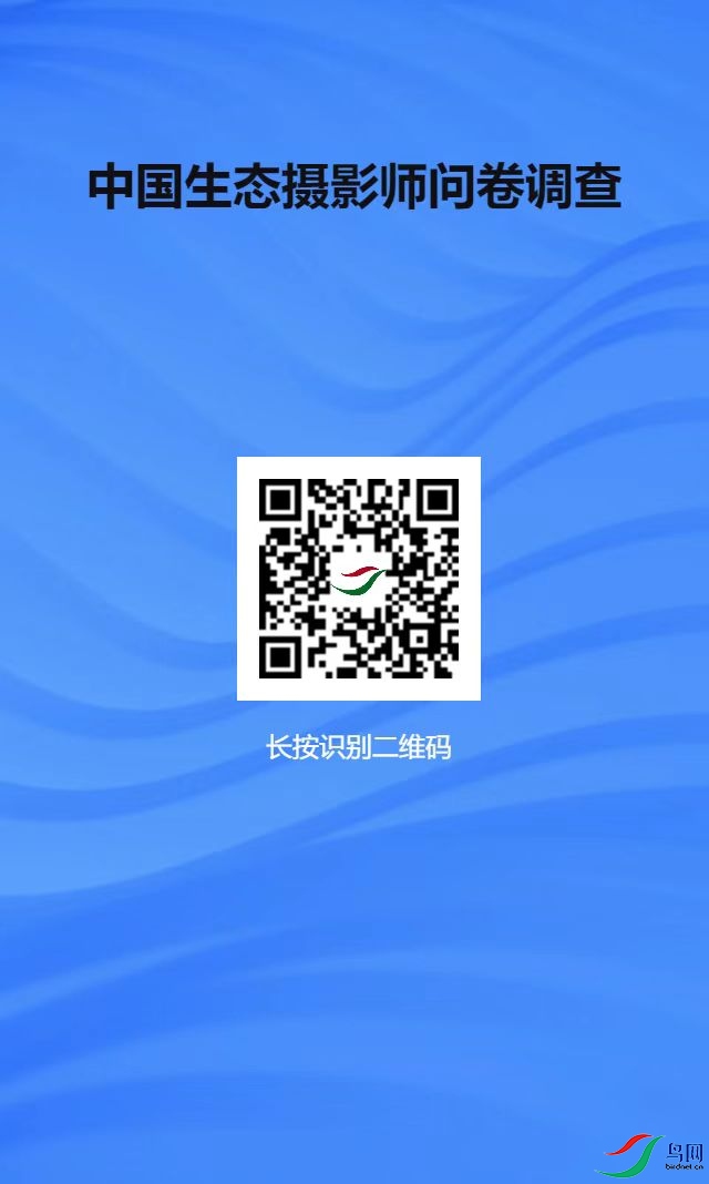 �й���̬��Ӱ�ʾ�����.jpg