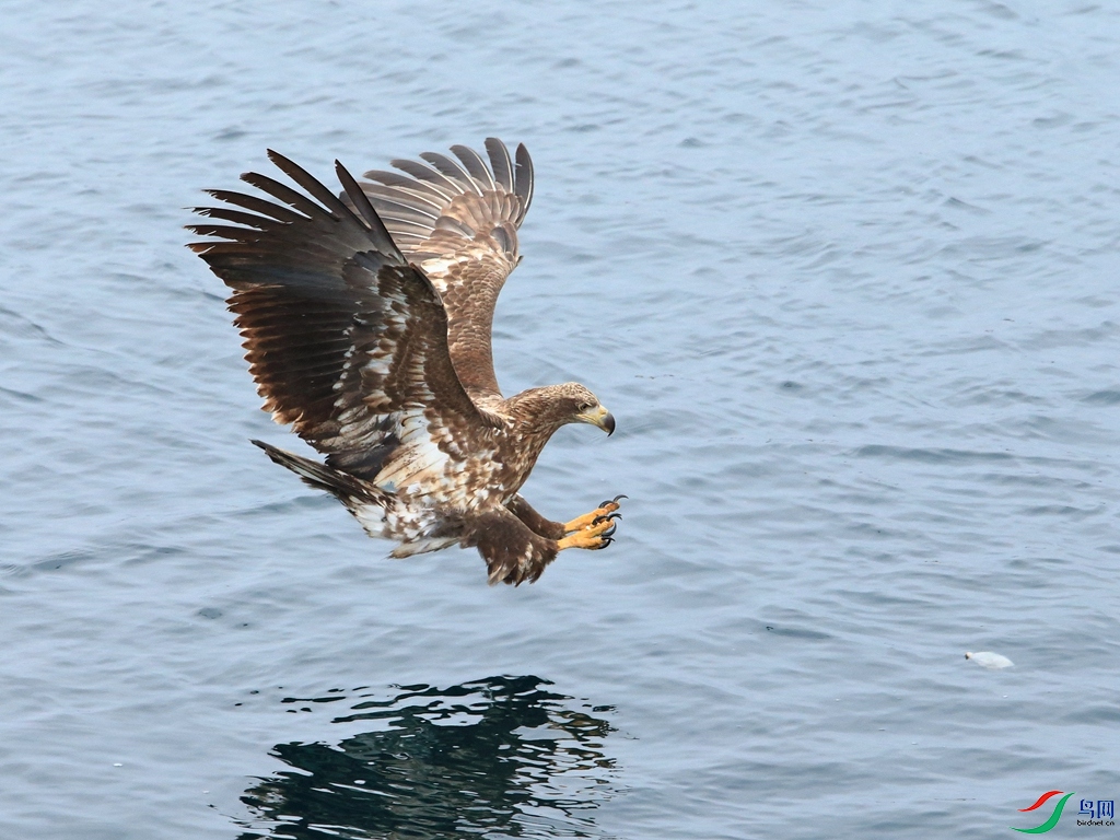 DPP_0229.JPG