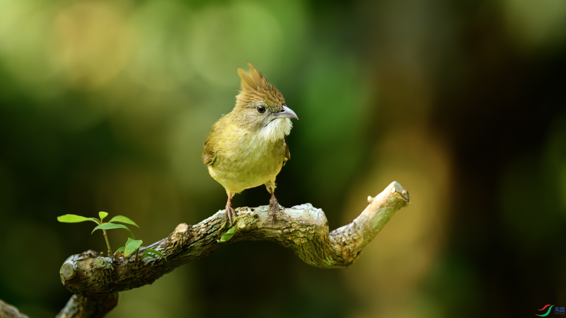 1_DSC0623-����ǿ-NR ����.jpeg