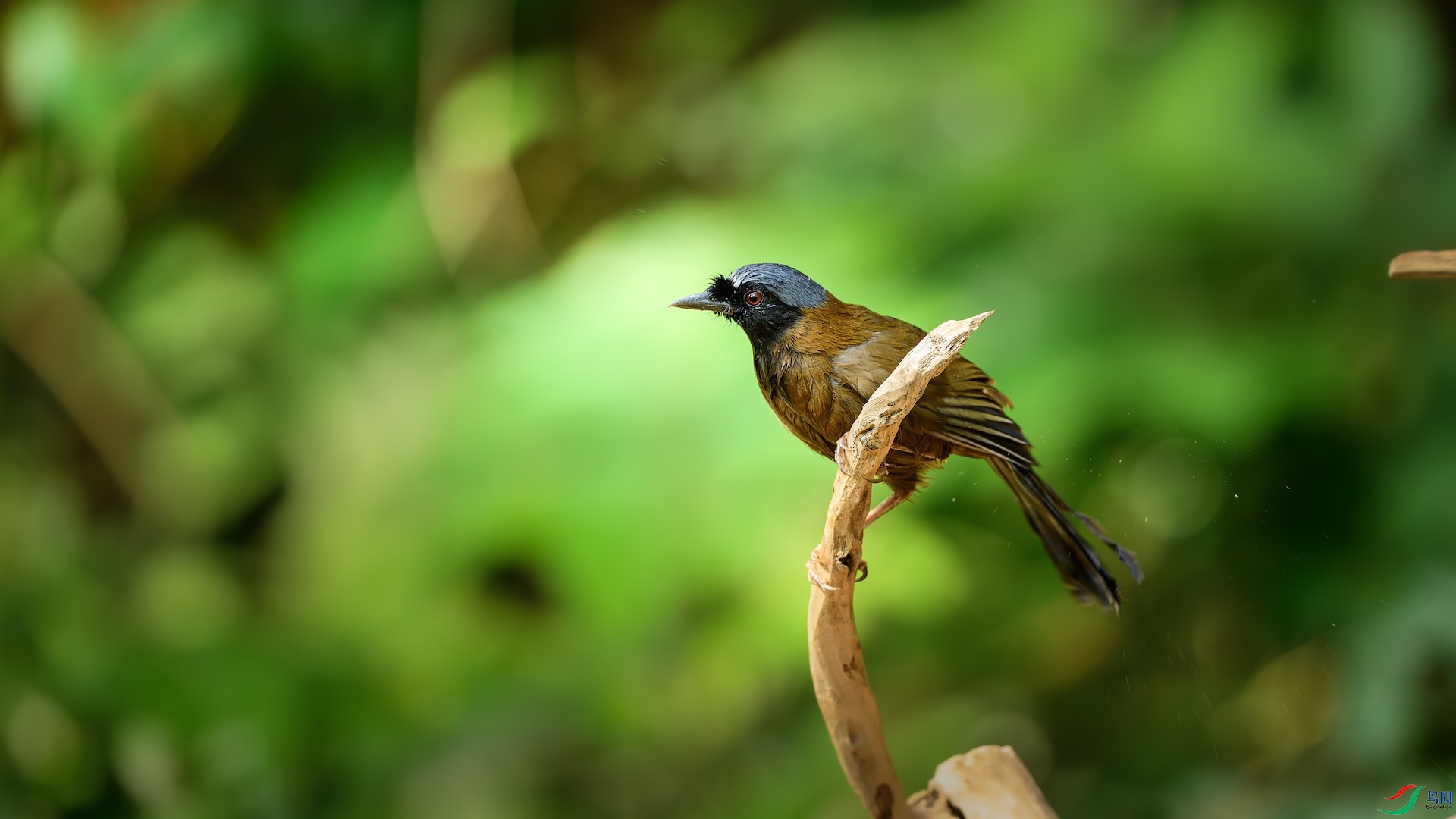 1_DSC0728-����ǿ-NR ����.jpeg