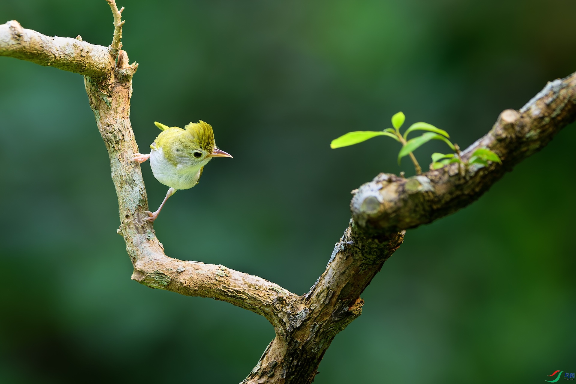 1_XXL7266-����ǿ-NR �����ĸ���.jpeg