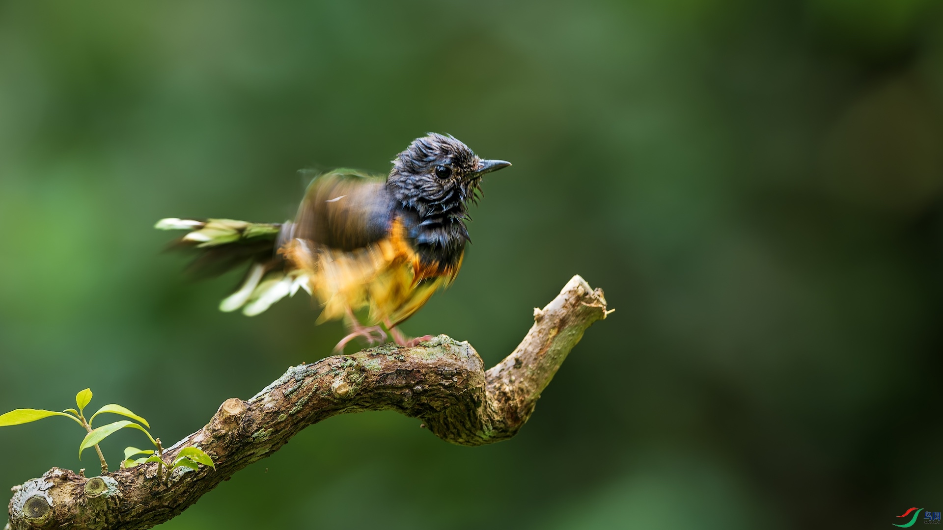 1-2_XXL7101-����ǿ-NR ����.jpeg