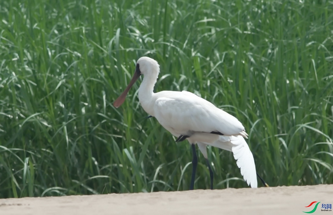 DSC_7607z_������С.jpg