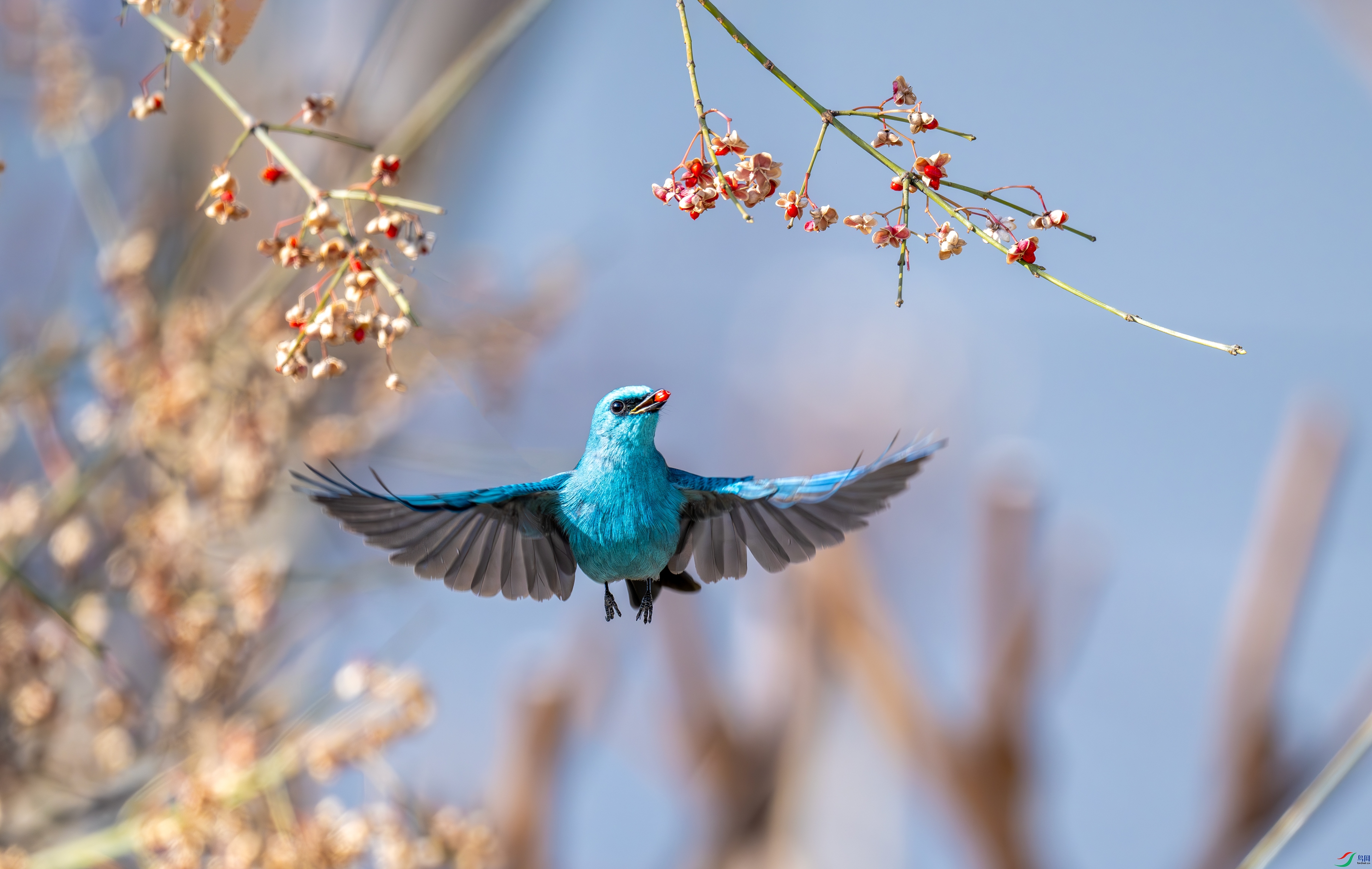 DSC_7542.jpg