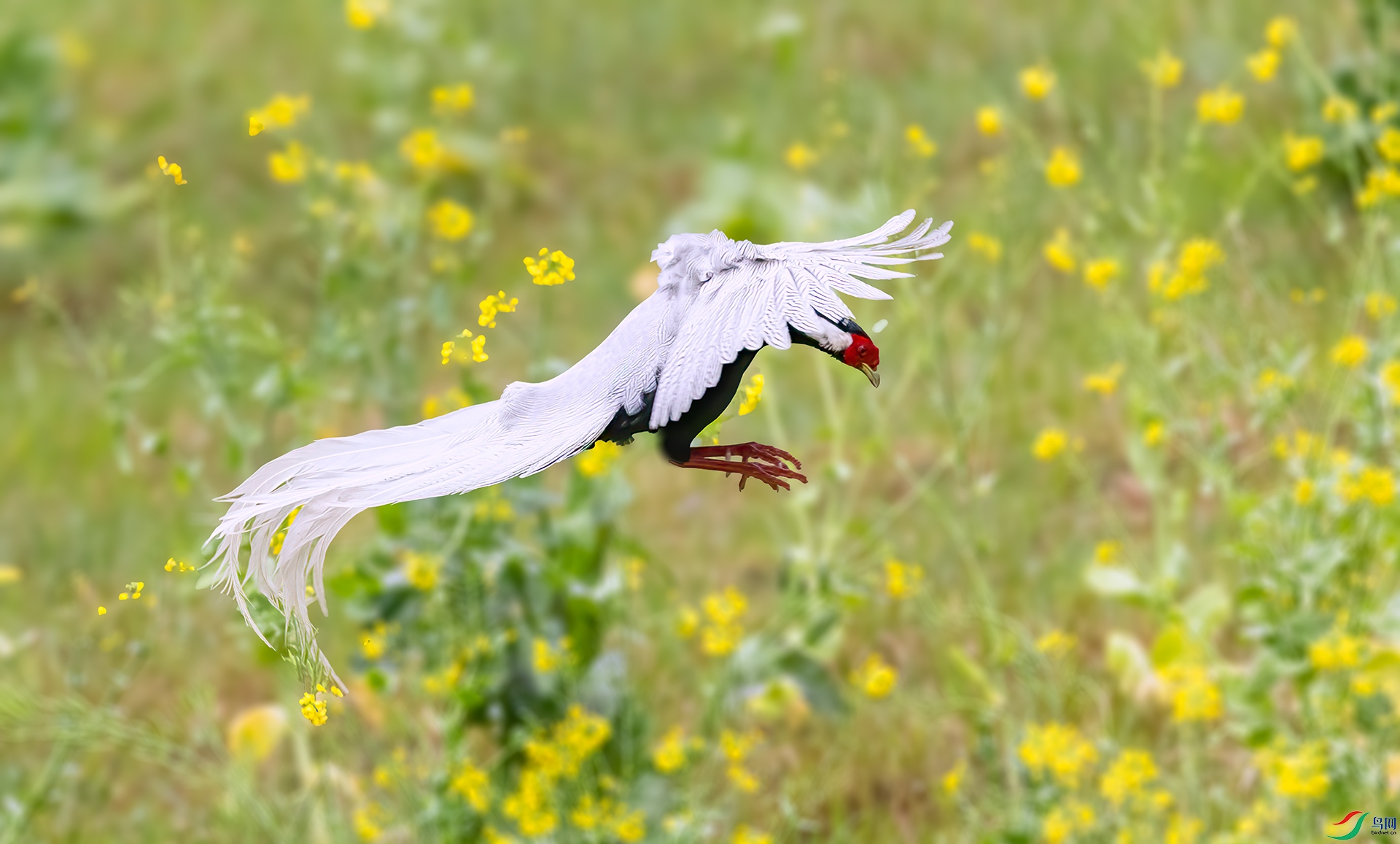 407A8846 ����-Sh----1 .jpg