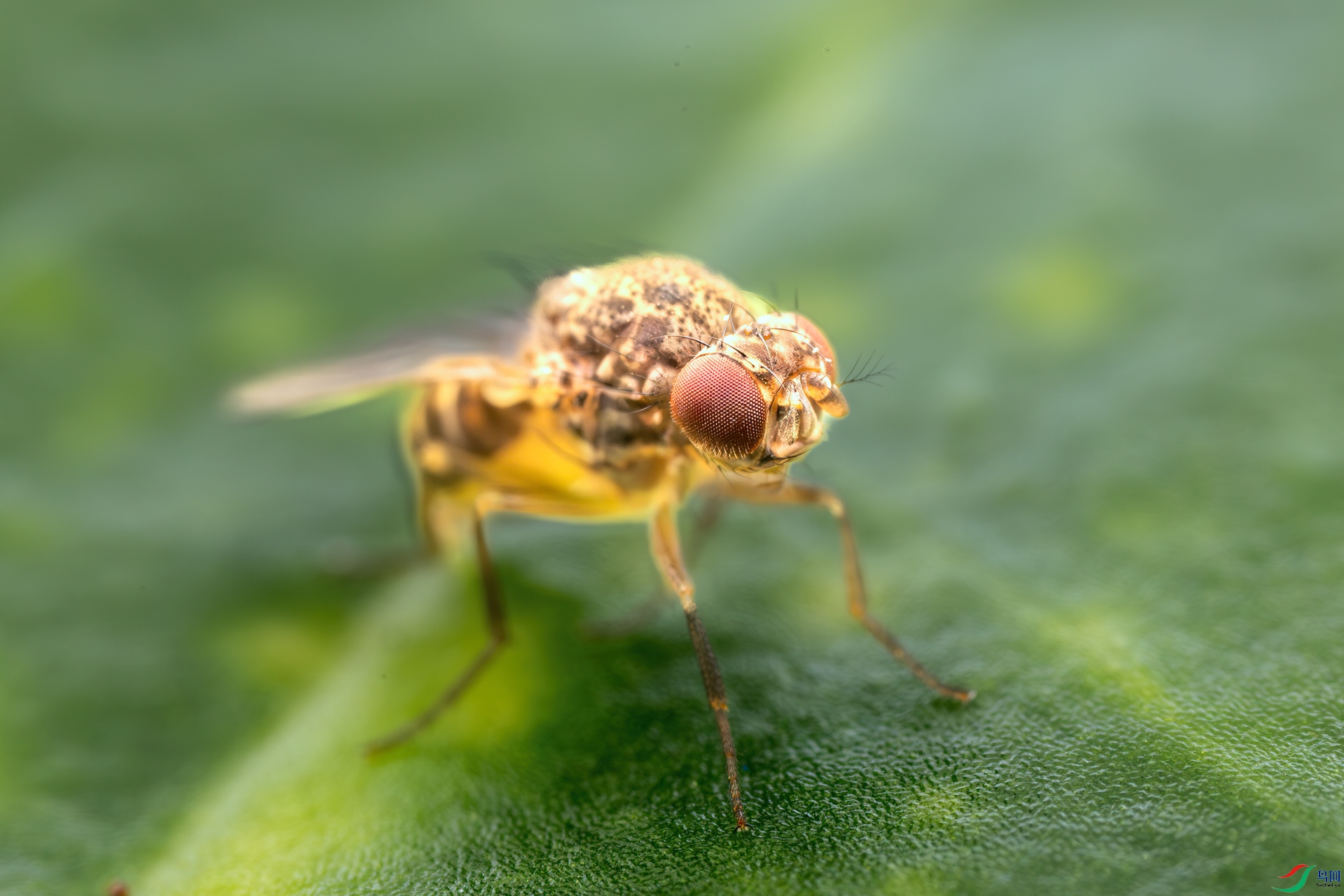 _16A9759.jpg