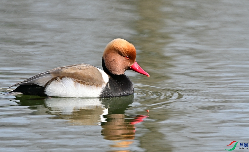 DSC_9864.JPG