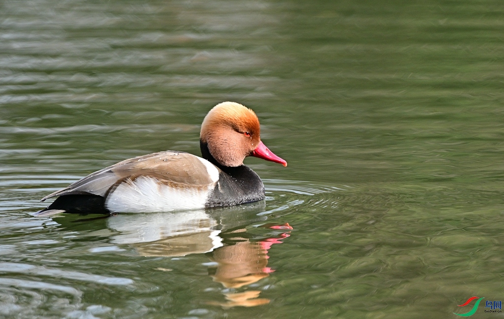 DSC_9873.JPG