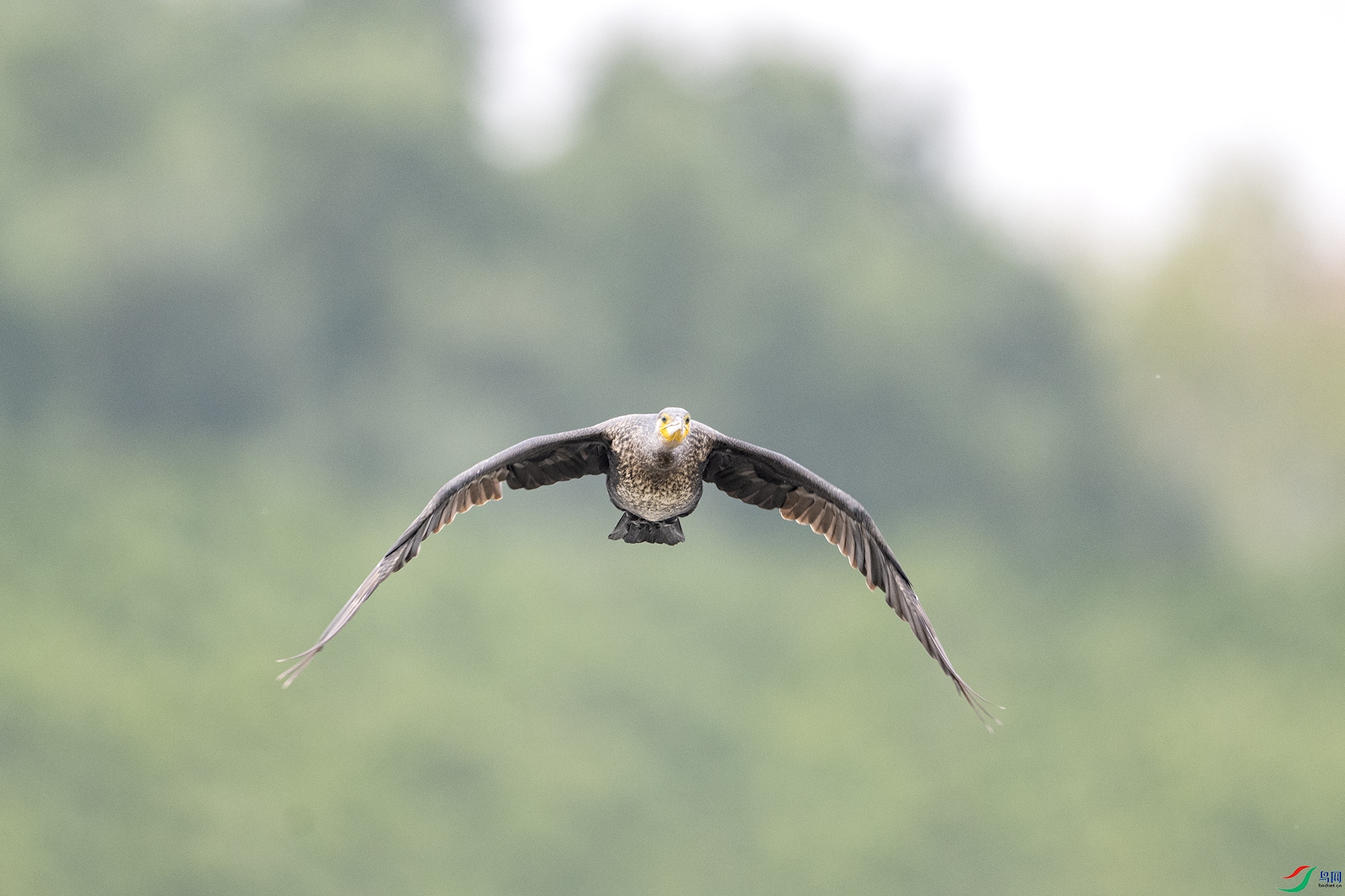 DSC_8646.jpg