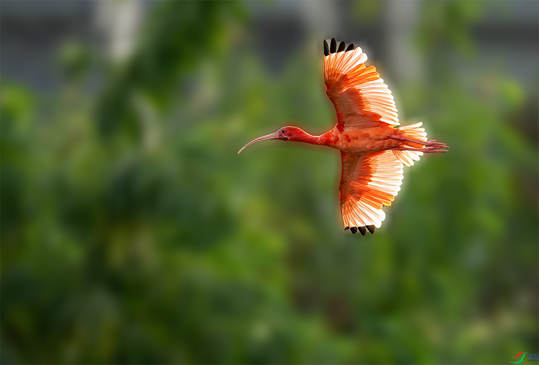 DSC09917.png   0003.png