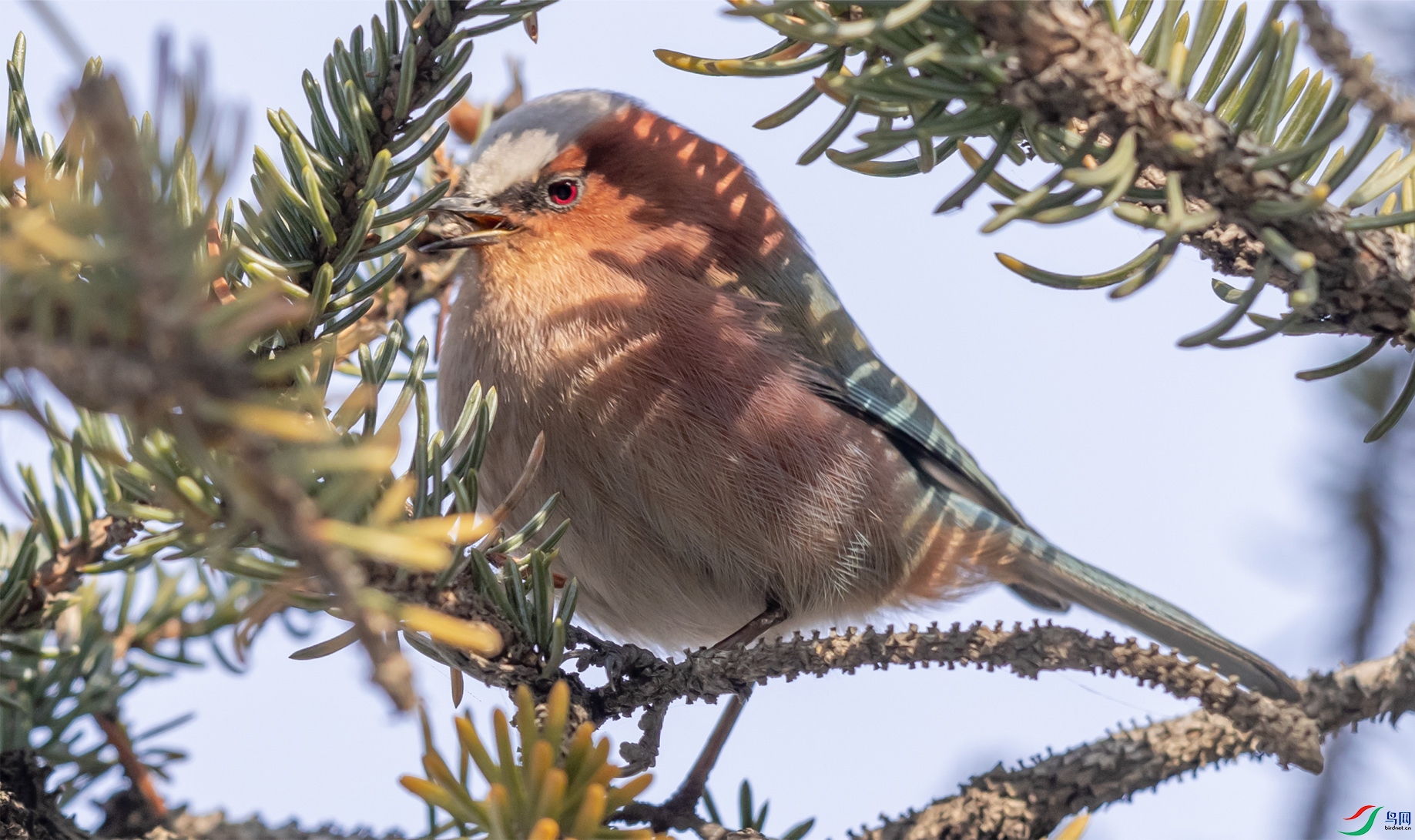 43 ��ͷȸݺOK ����.jpg