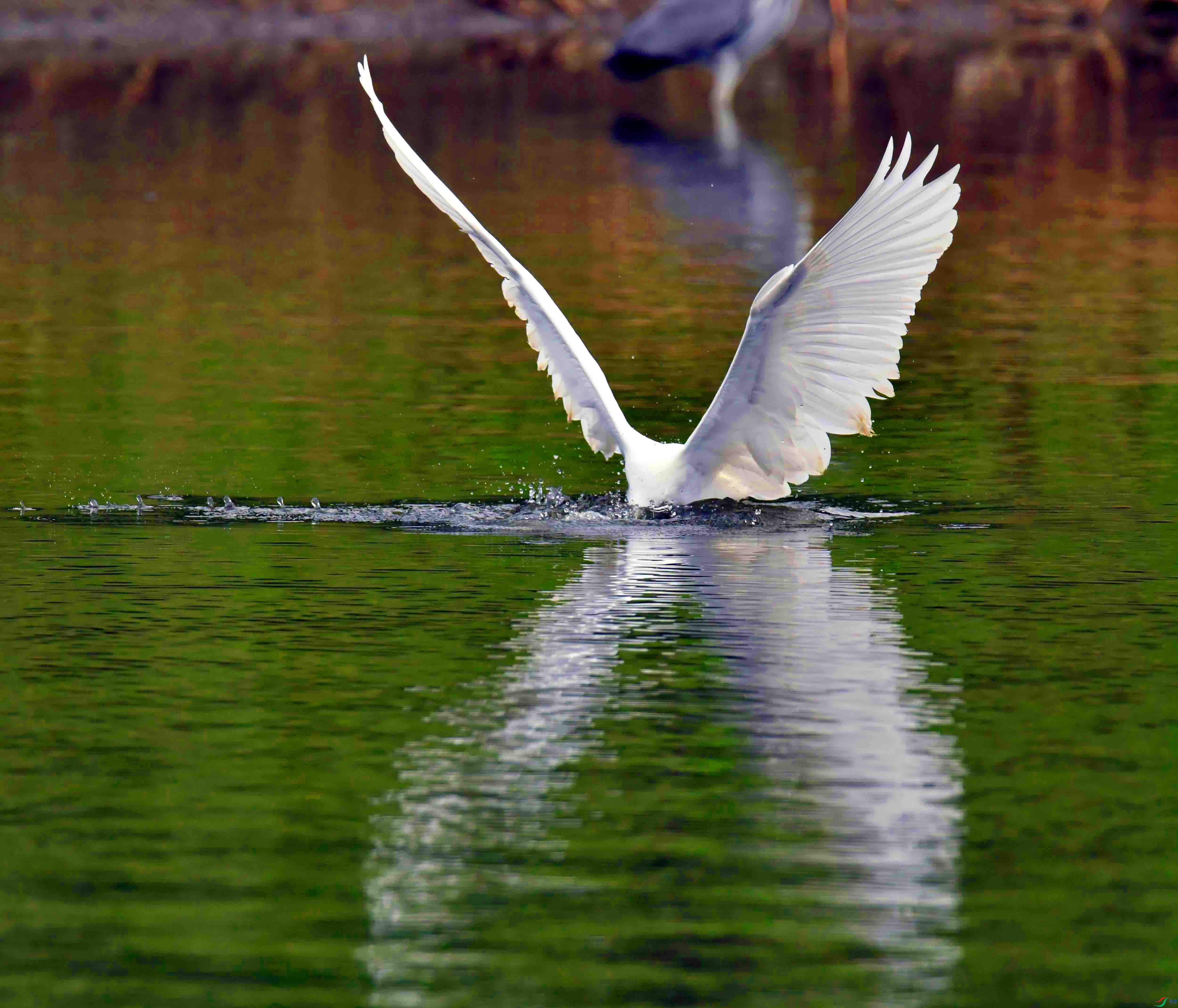 DSC_5253.JPG
