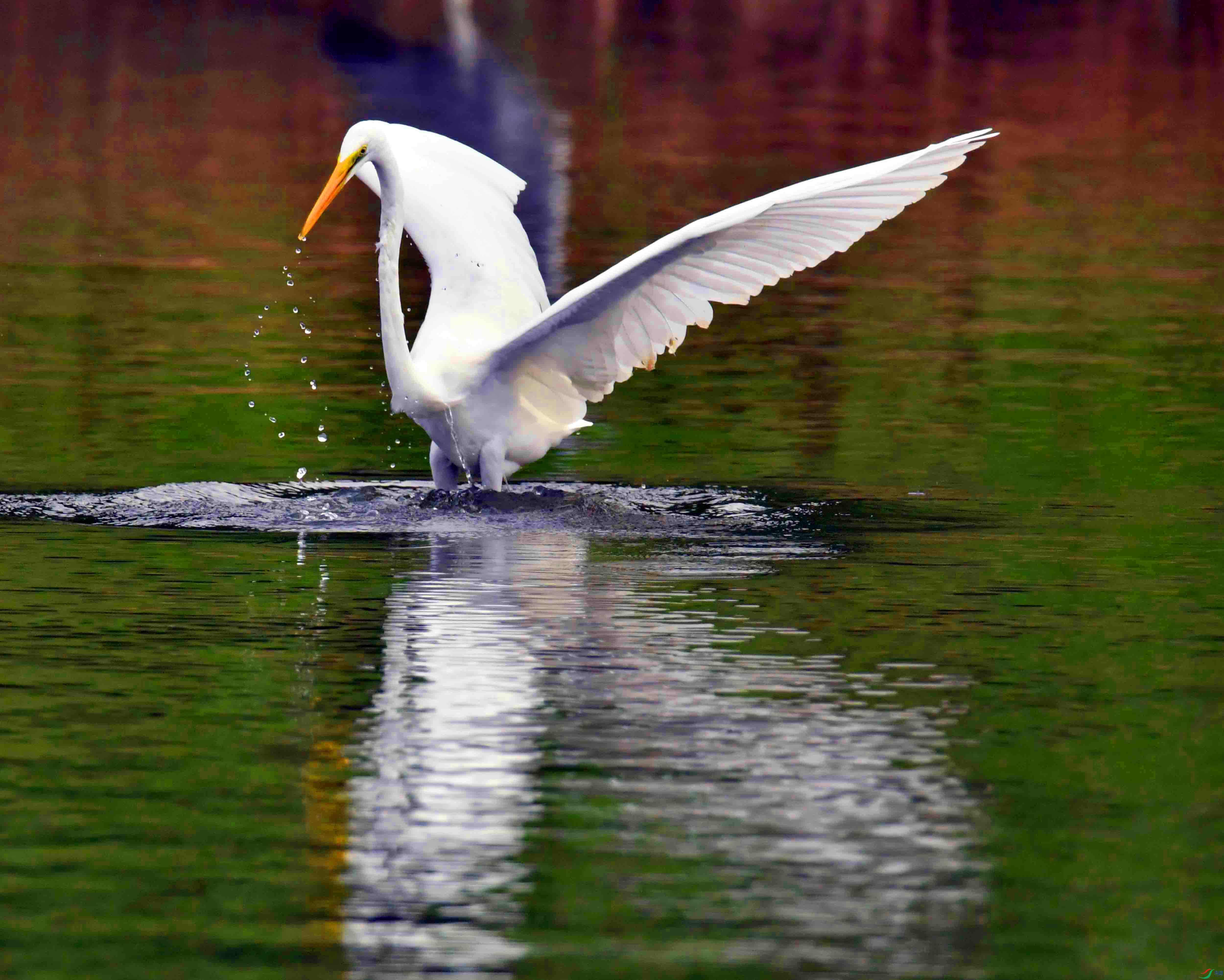 DSC_5254.JPG
