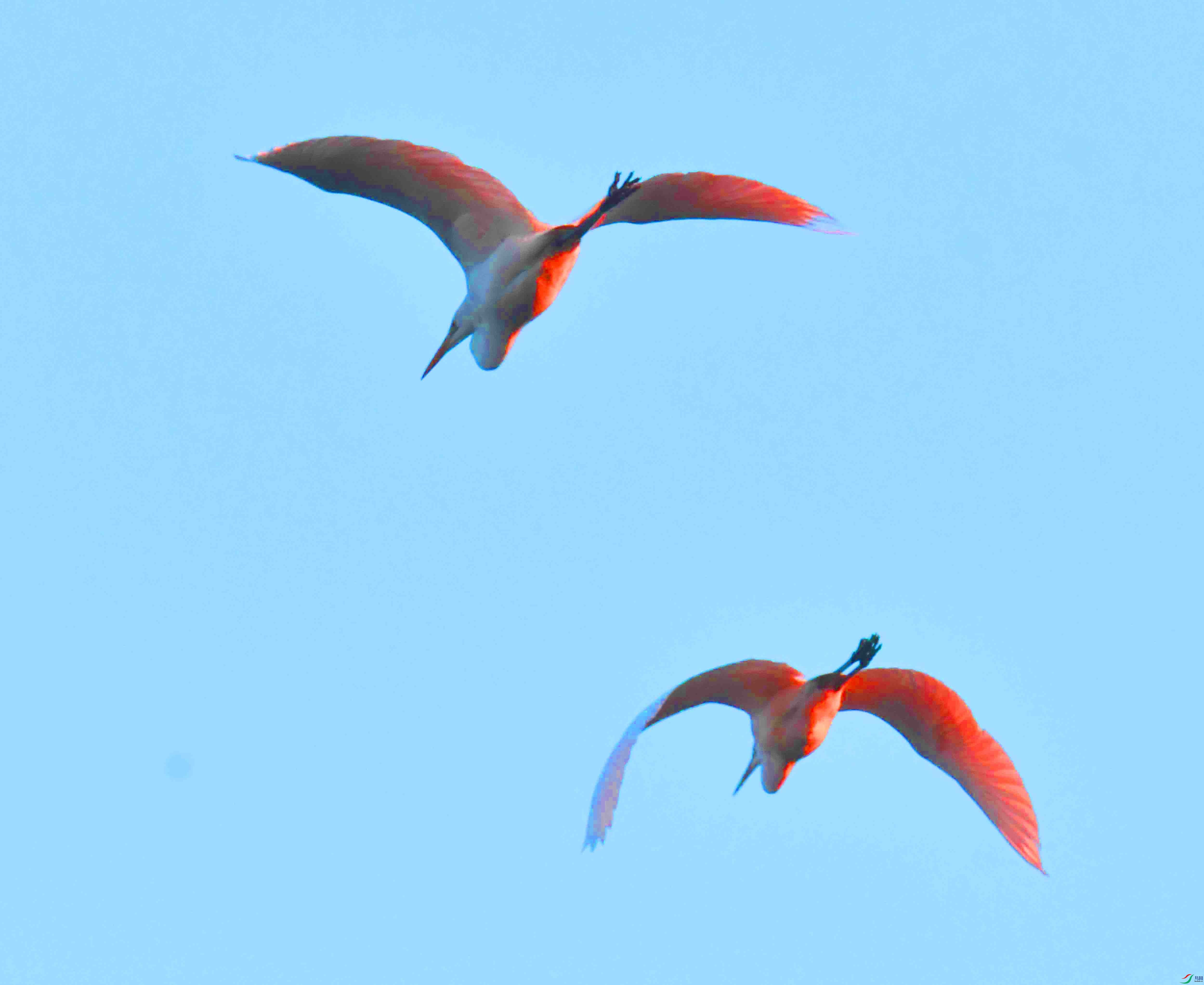 DSC_5349.JPG