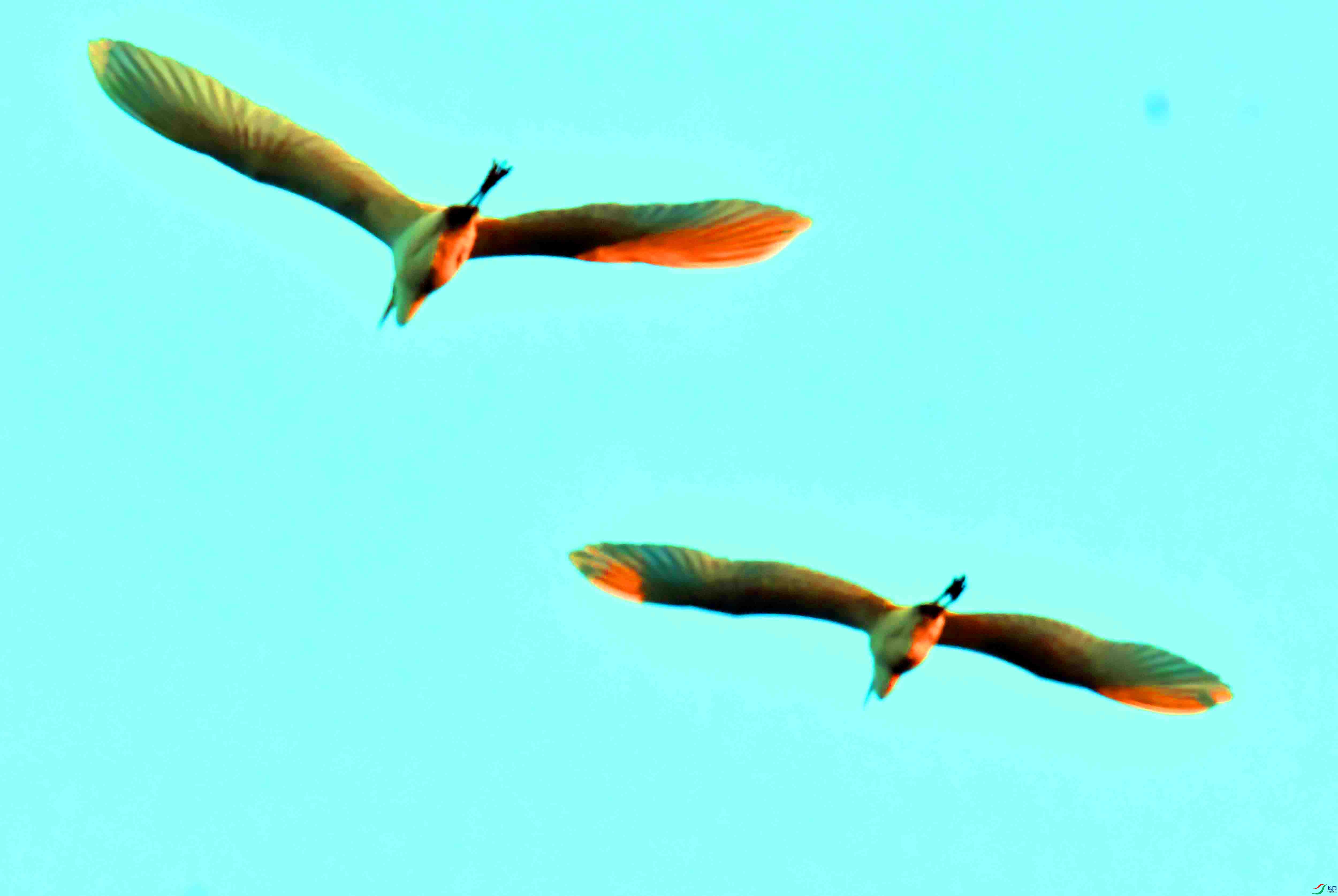 DSC_5352.JPG