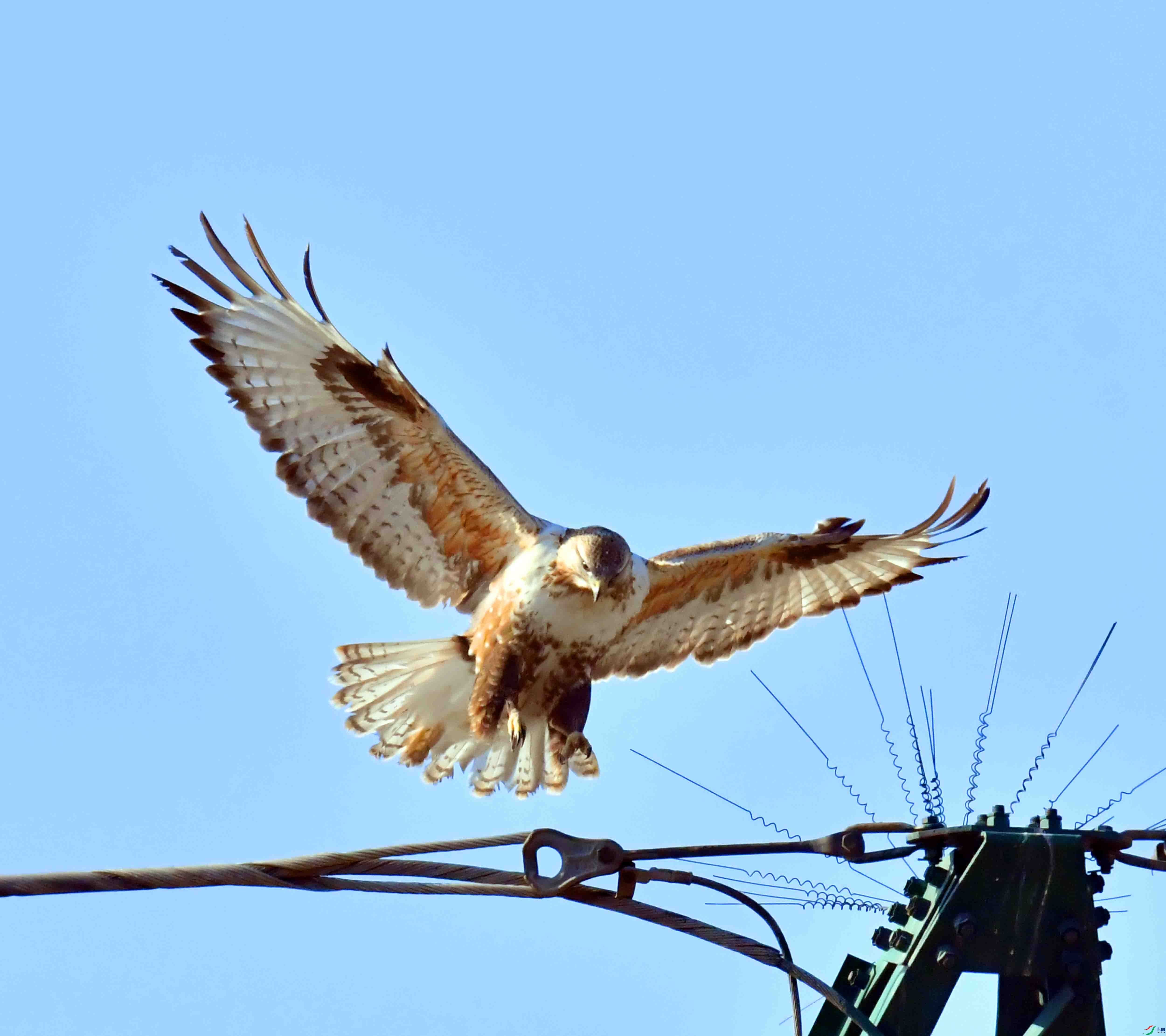 DSC_1502.JPG