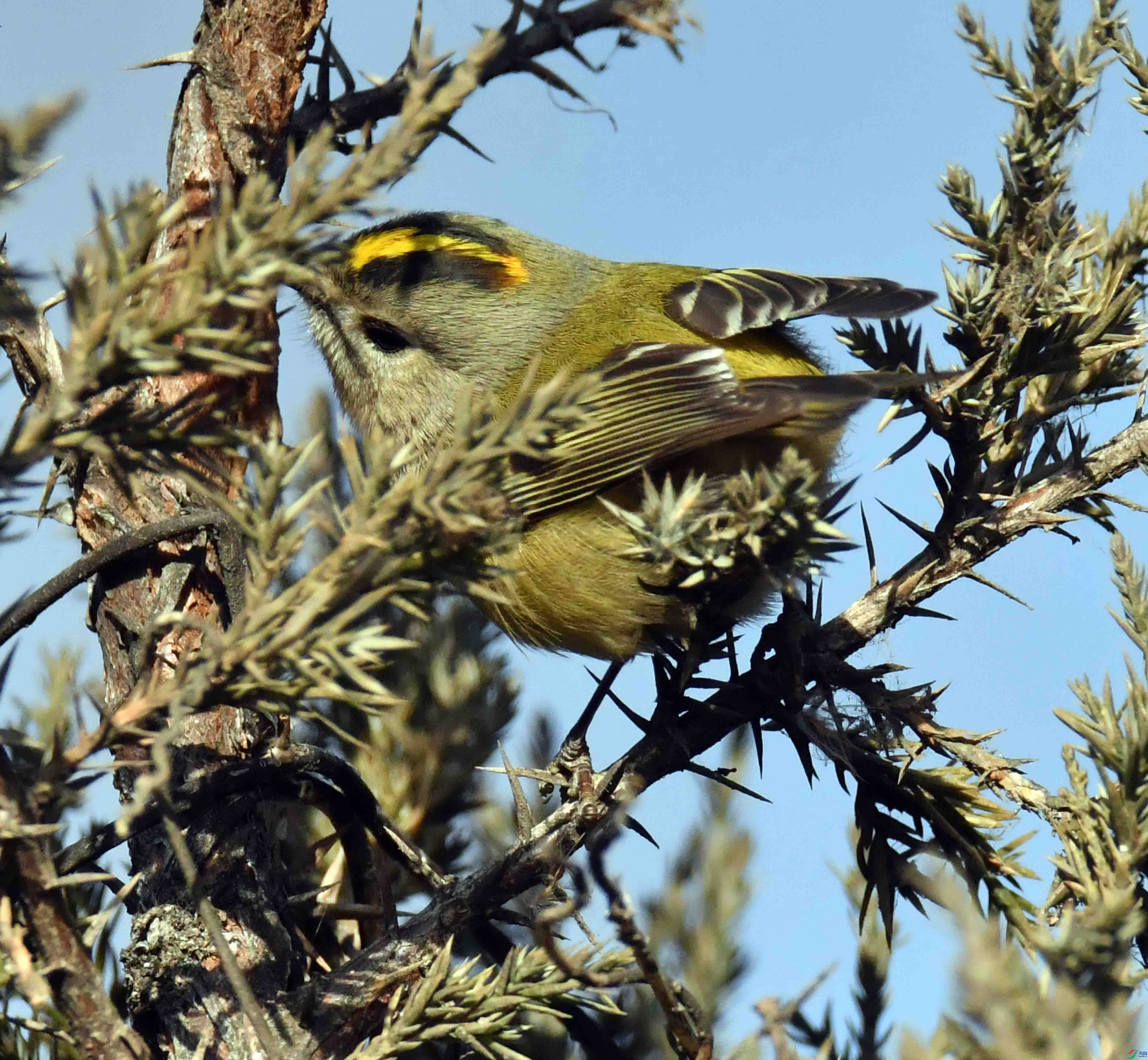 DSC_0477.JPG