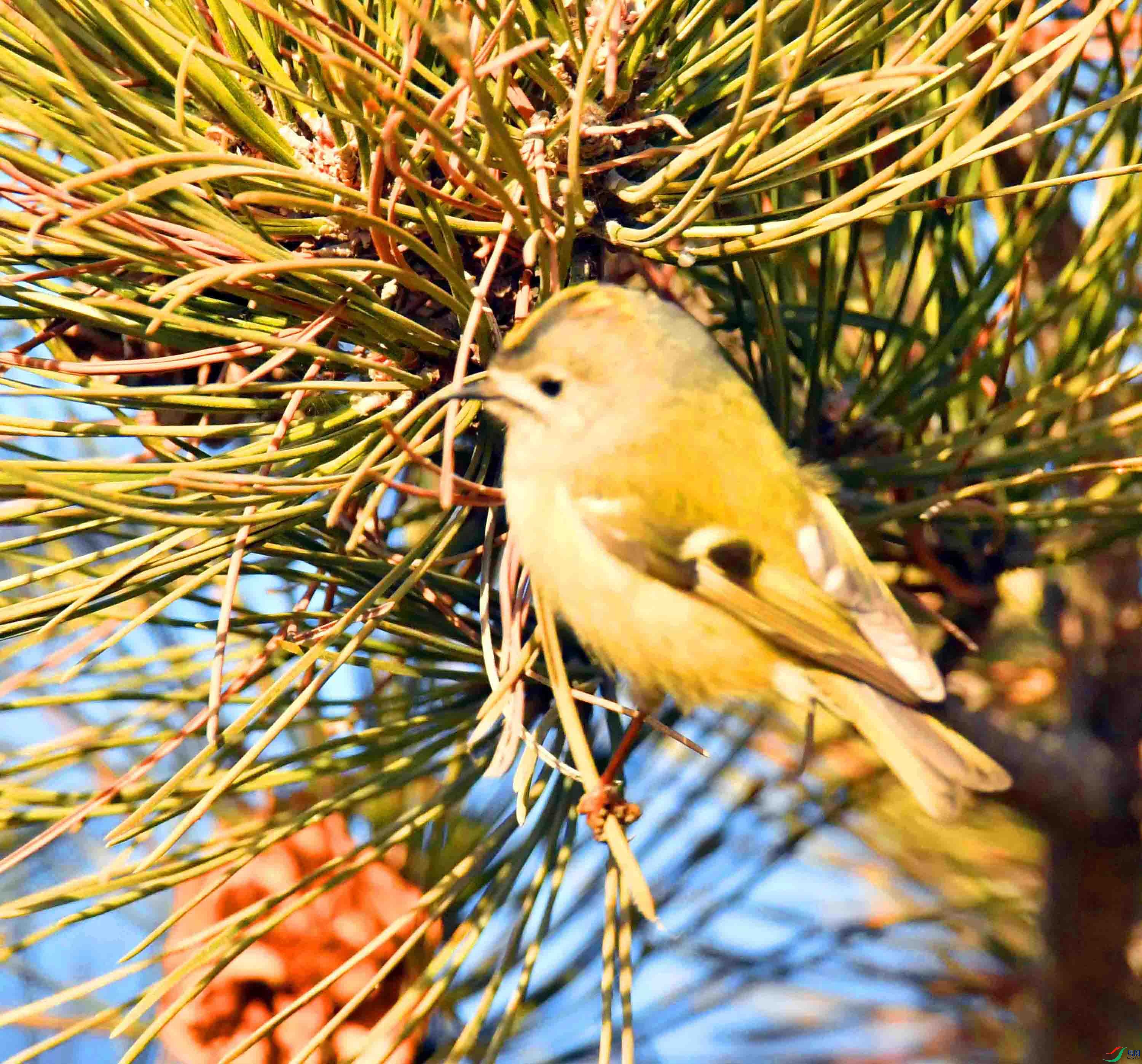 DSC_9974.JPG