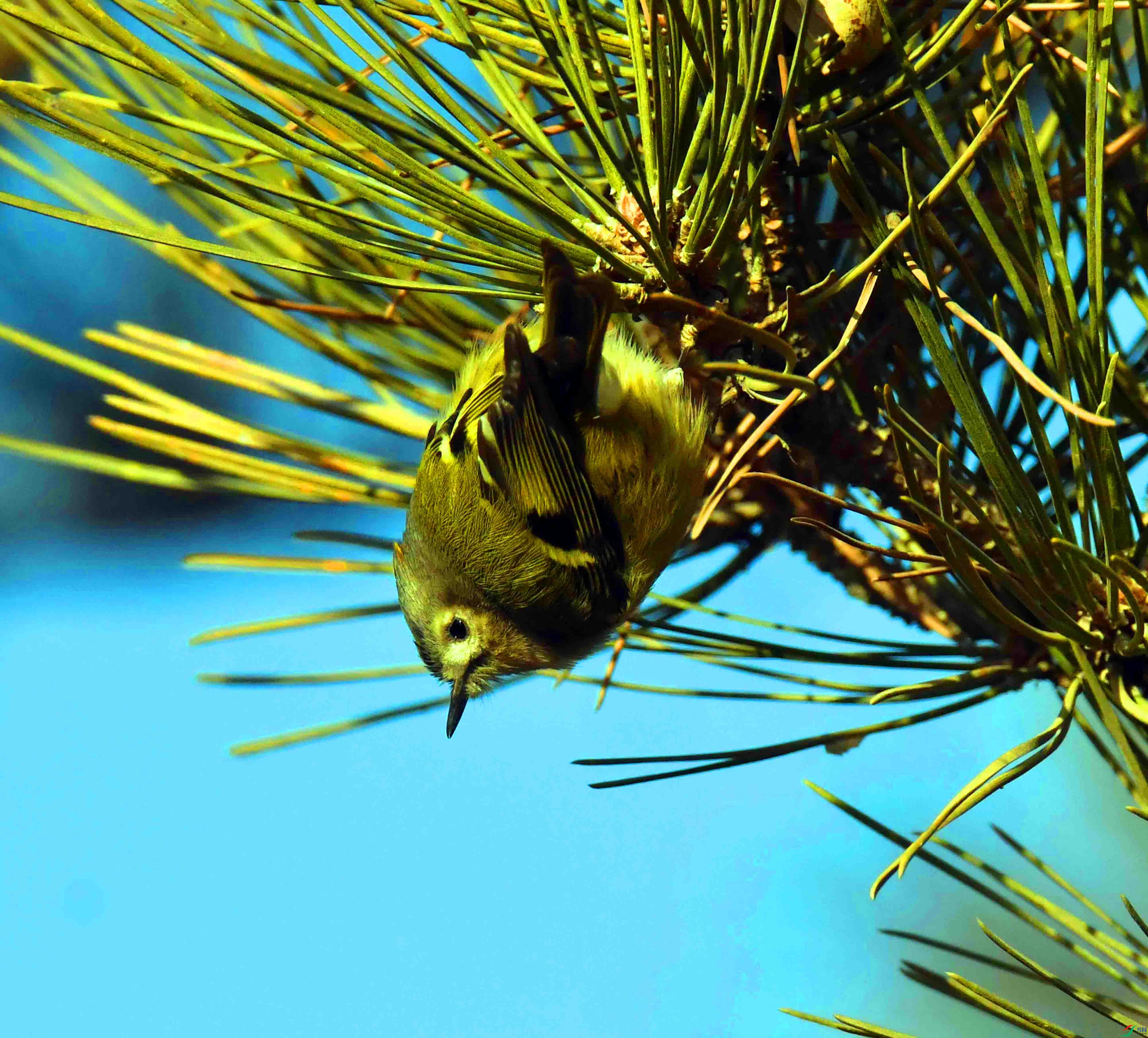 DSC_9947.JPG