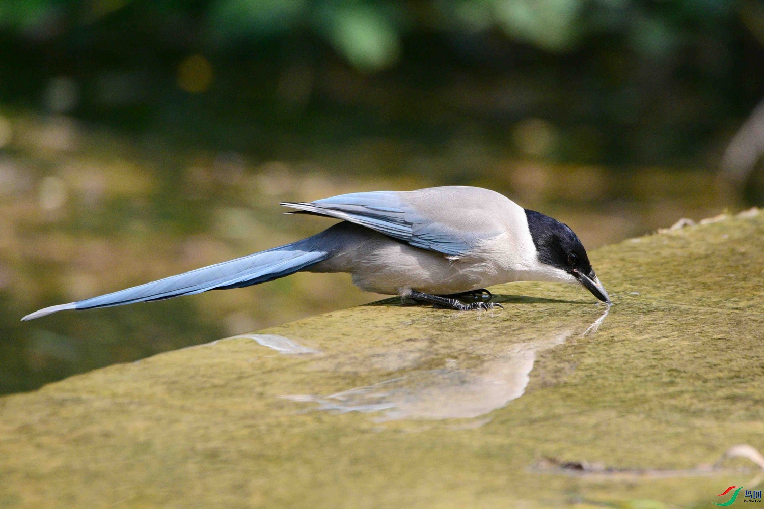 DSC_8444.JPG