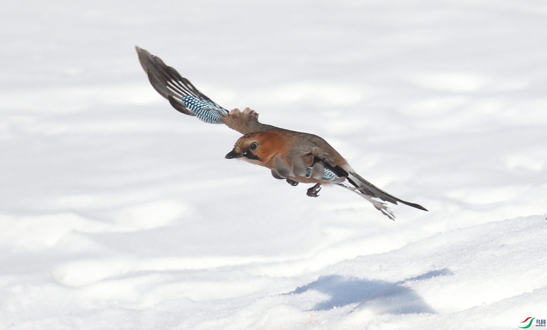 9G8A0801 ����.jpg