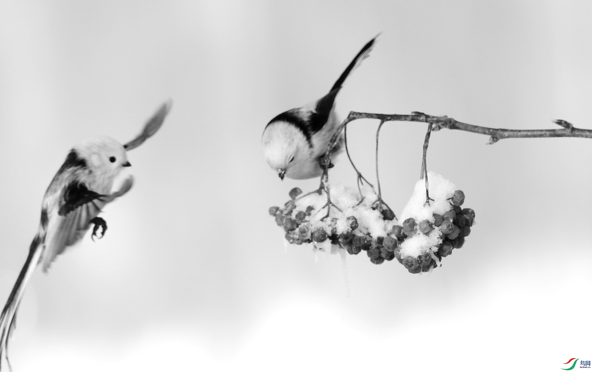 0G1A5975.JPG