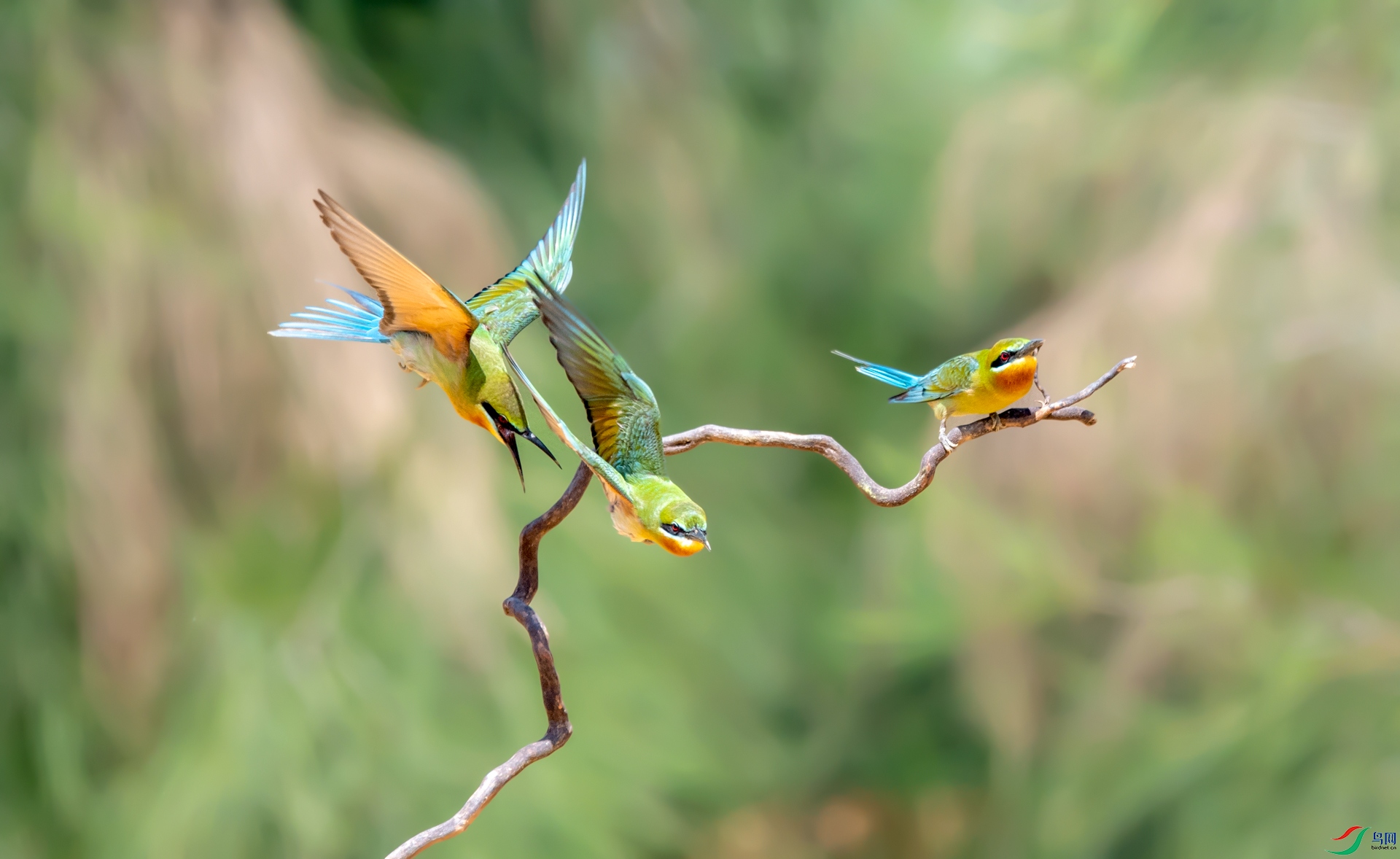 DSC_�����仢 - ����.jpg