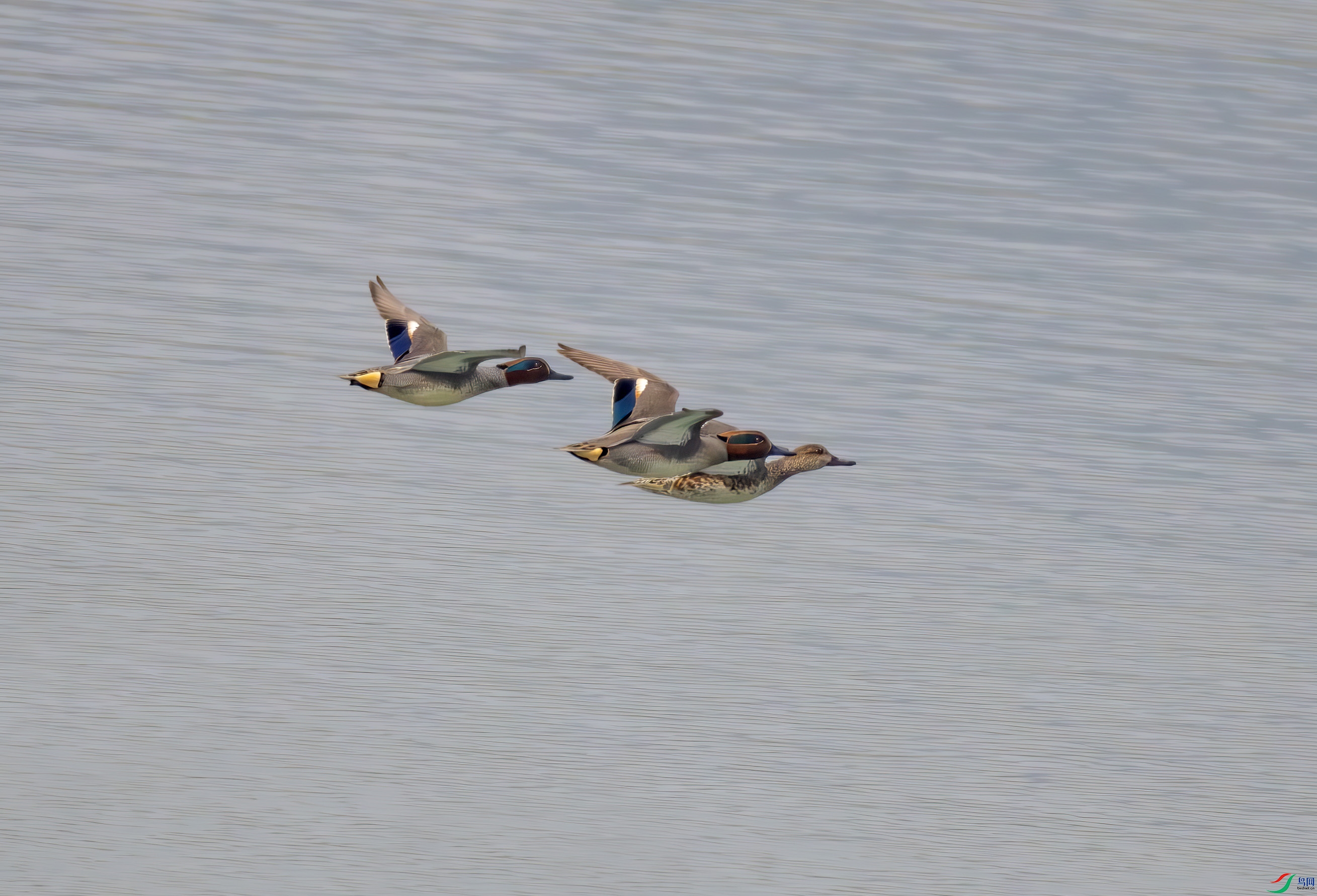 2I1A1954-����ǿ-NR ���� 2.jpg