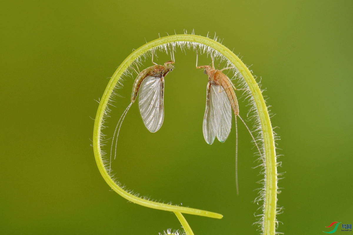 DSC_3420_����.jpg