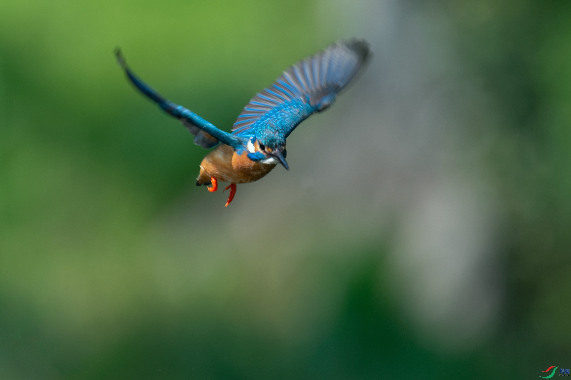 DSC_8842_DxOa.jpg