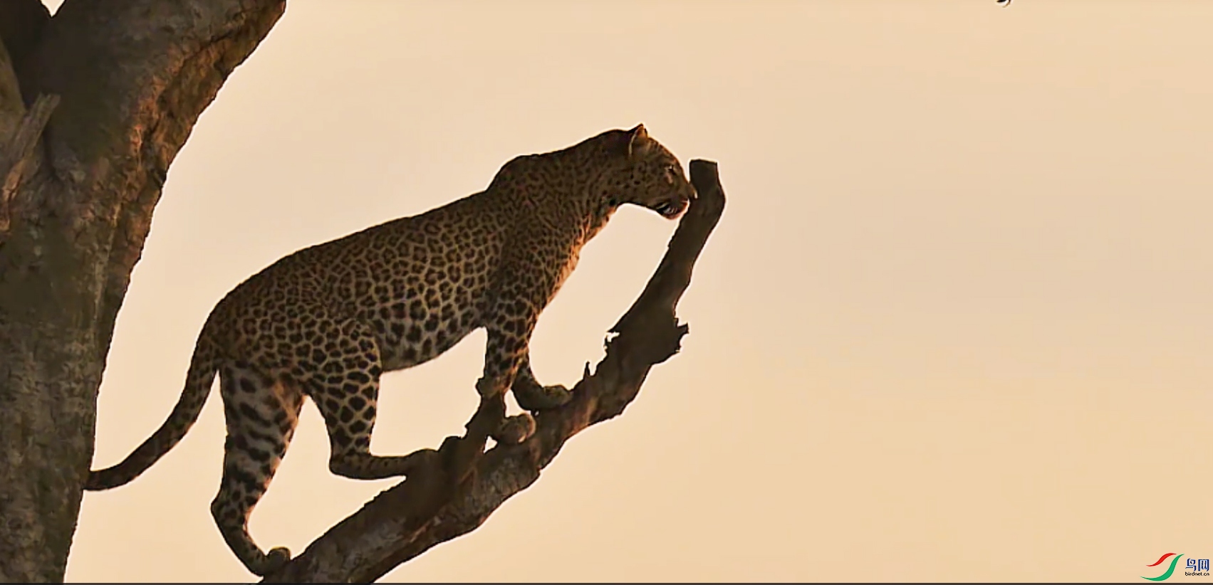 {3264344B-1784-4CAF-A76C-8C28C0E57CBE} ����.jpg