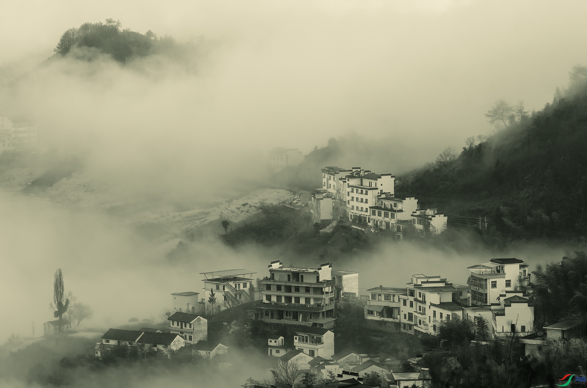 _DSC2477- ��ɽ�� - 111.jpg