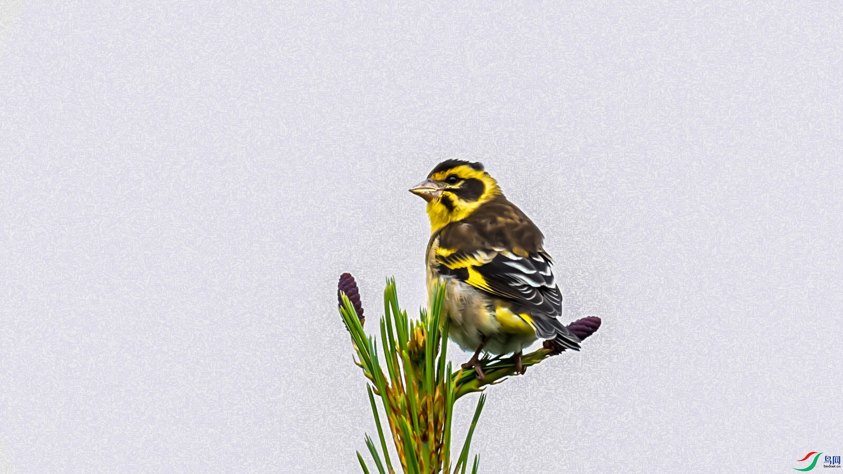 05 ��ɽ���ȸ ����.jpg