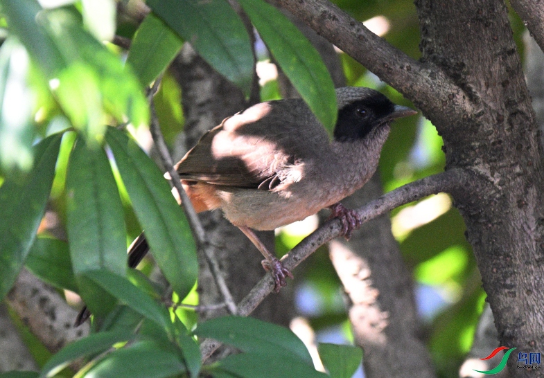 DSC_5866_01.JPG