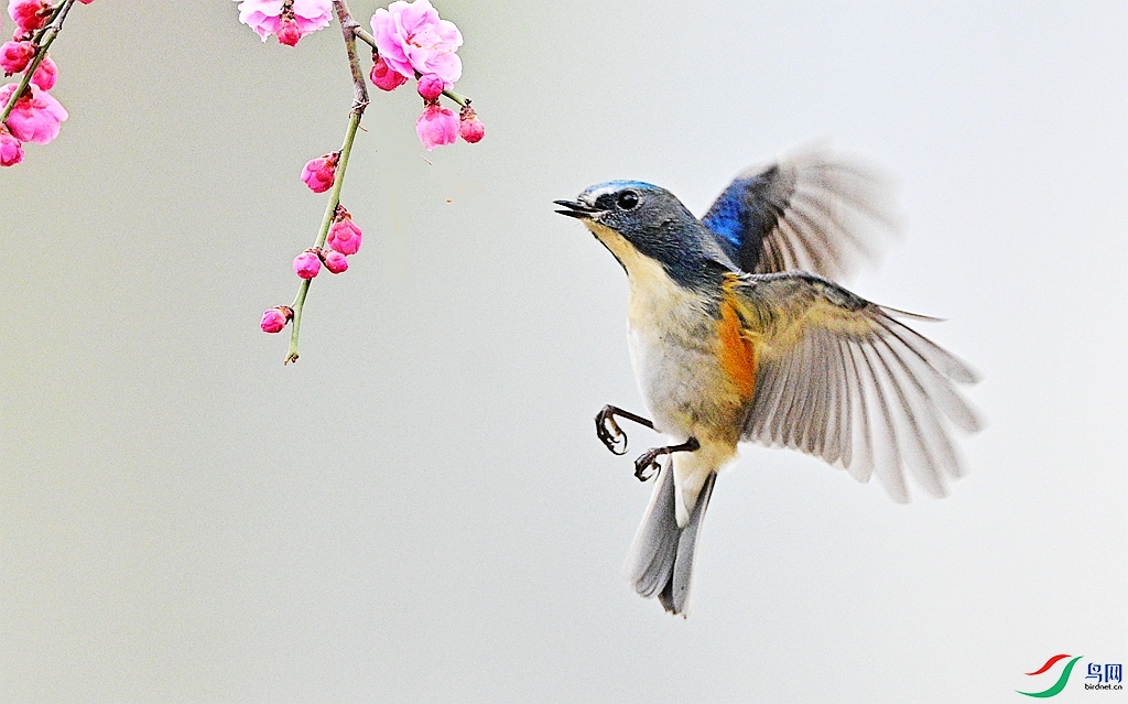 DSC_0010 - ����.JPG