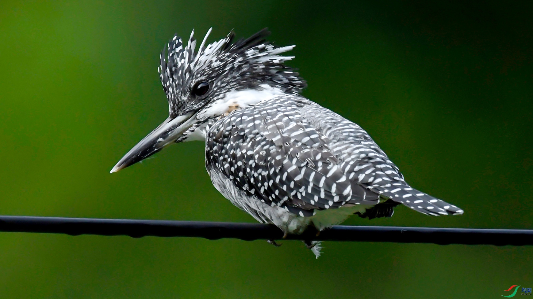 41 ���㹷OK ����.jpg