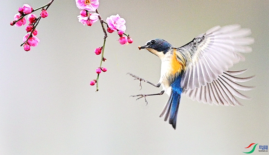 DSC_0103 - ����.JPG