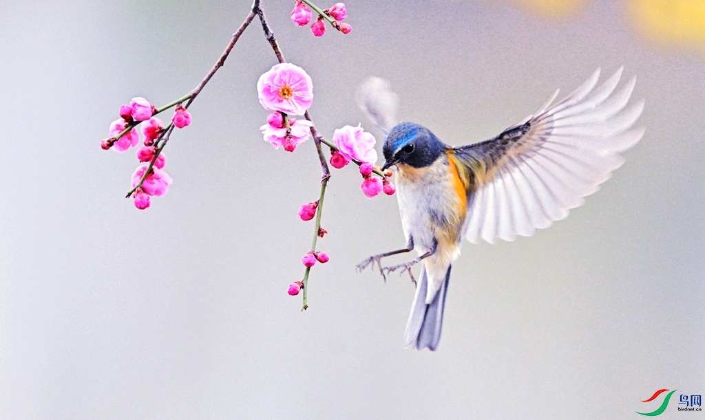 DSC_0185 - ����.JPG