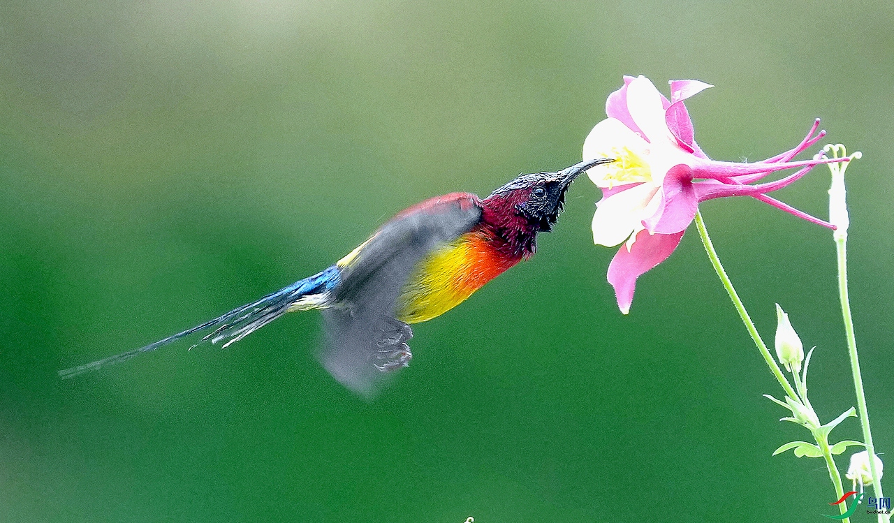 DSC04934.JPG
