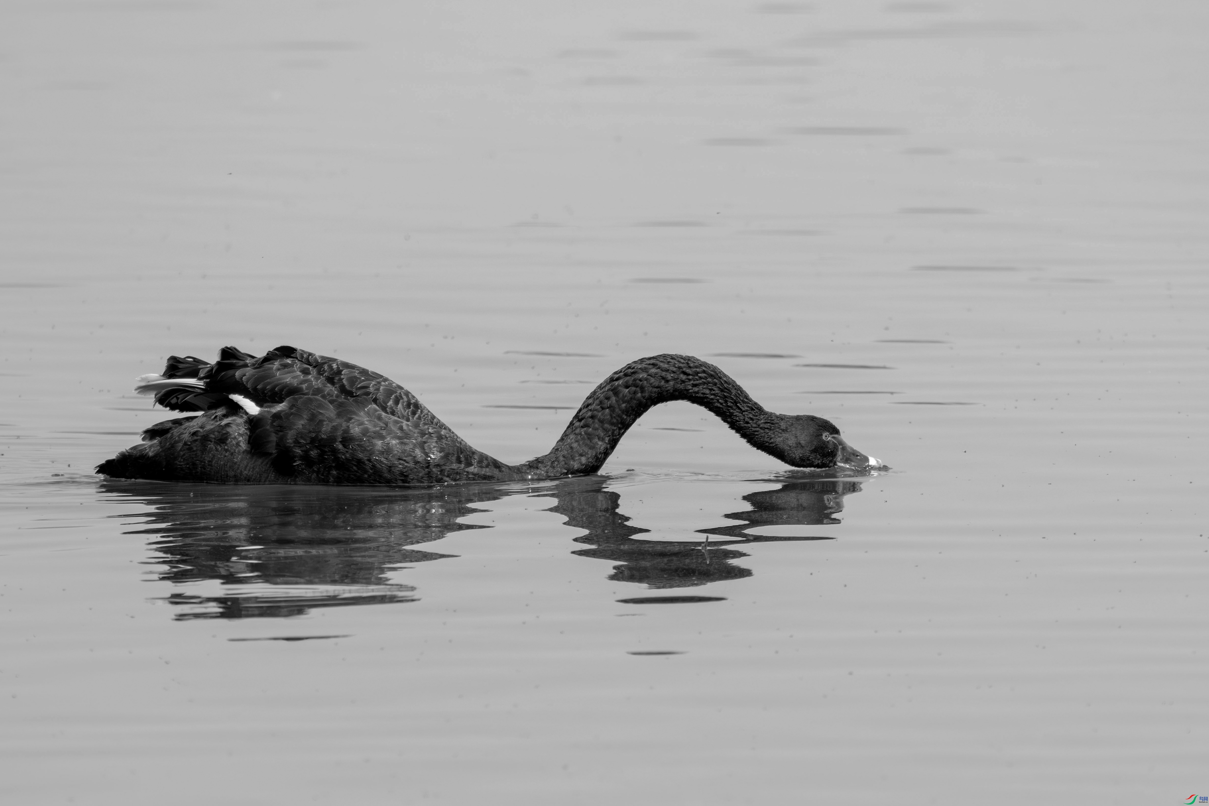 DSC_5059.jpg