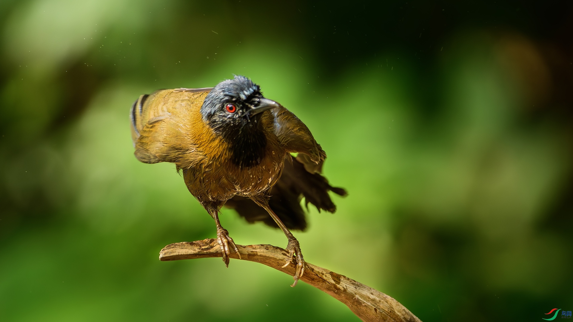 1_DSC0870-����ǿ-NR ����.jpeg