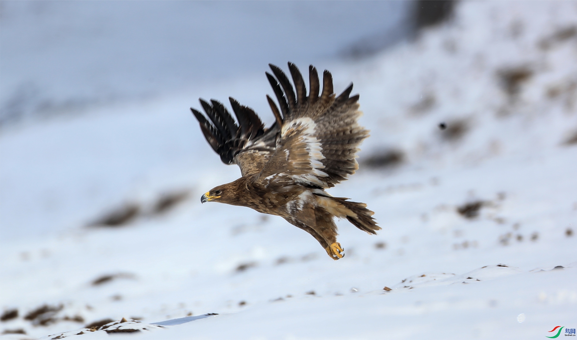 24��ԭ�� ����.jpg