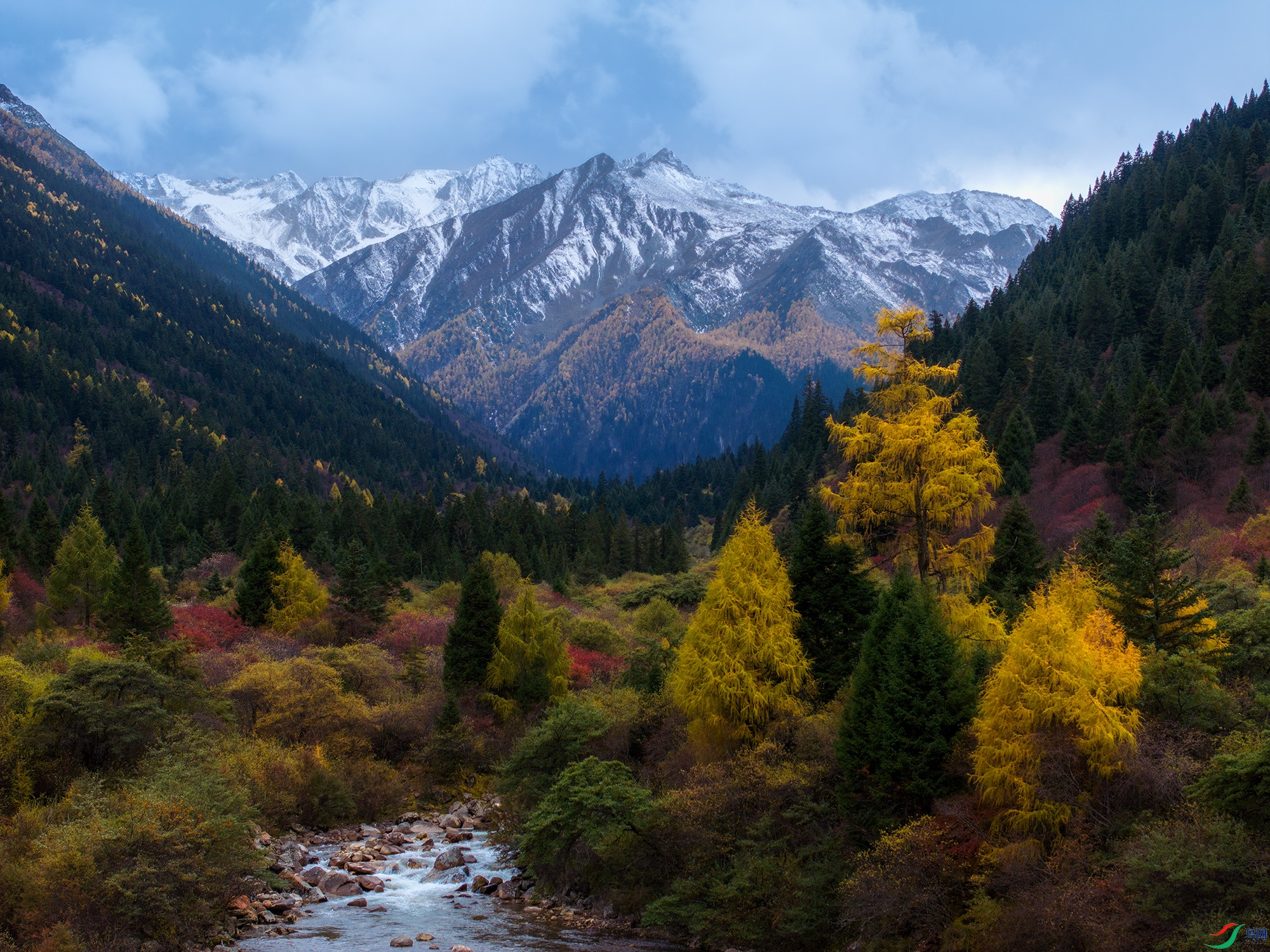 DJI_20241021161921_0477_D ����aaa ����.jpg
