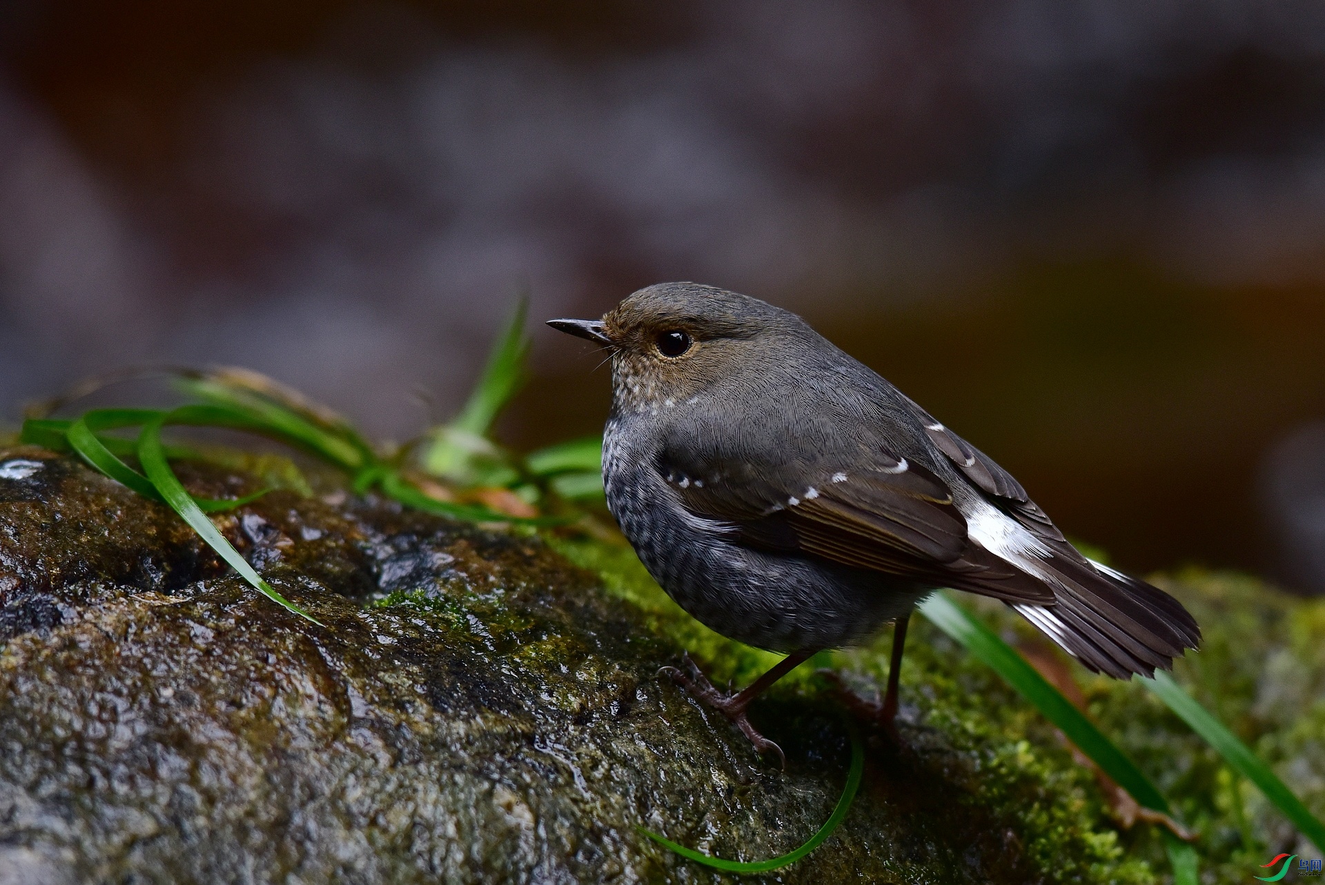D8I_0704.jpg