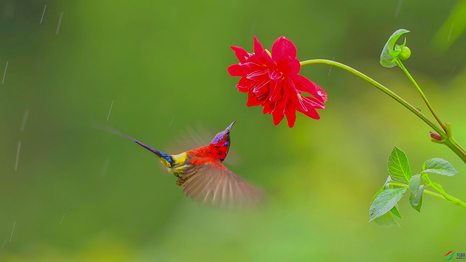 2��5�� (1)-����.jpg