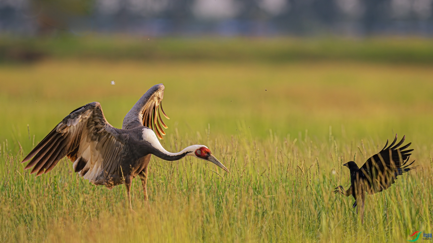 �������