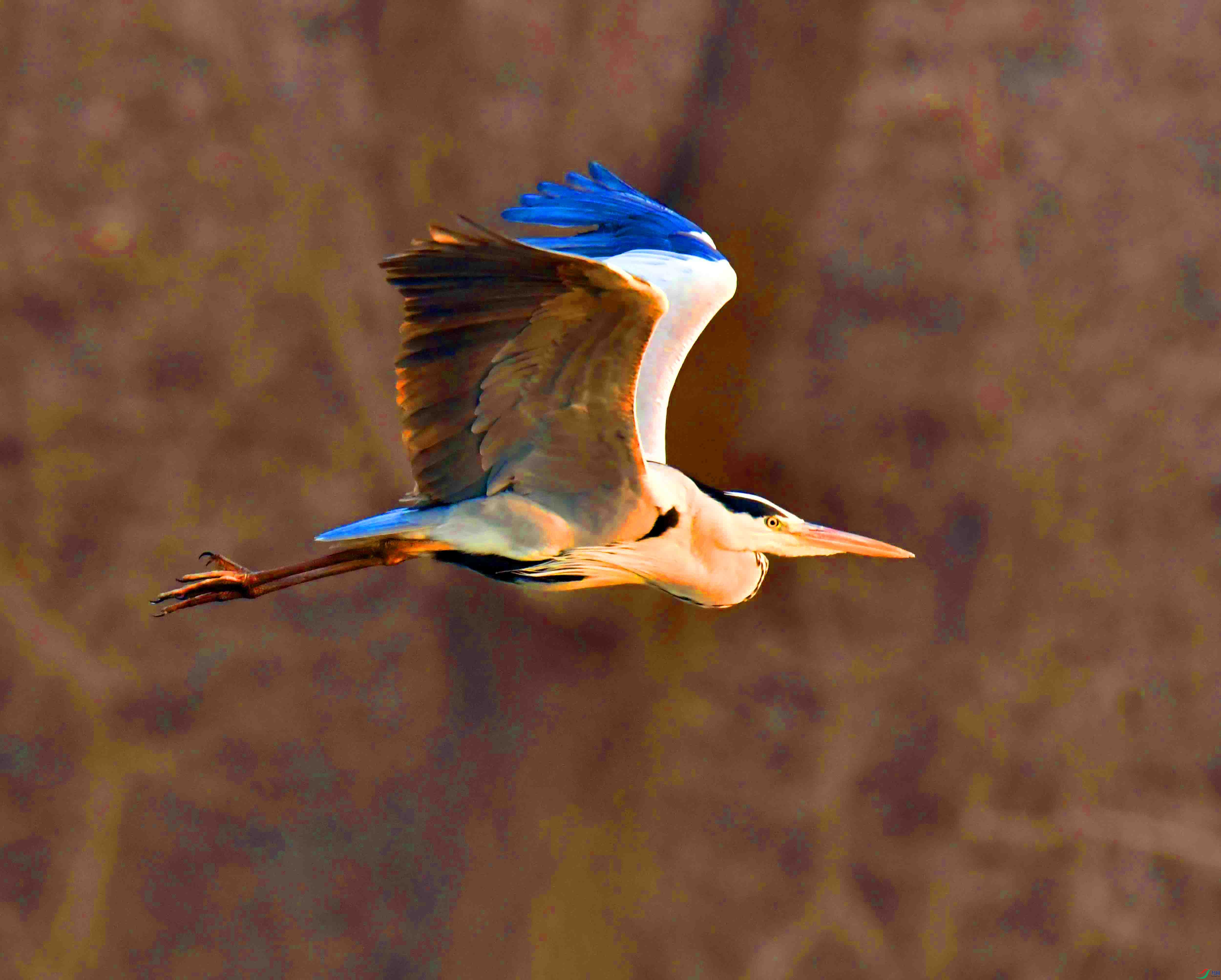 DSC_0554.JPG