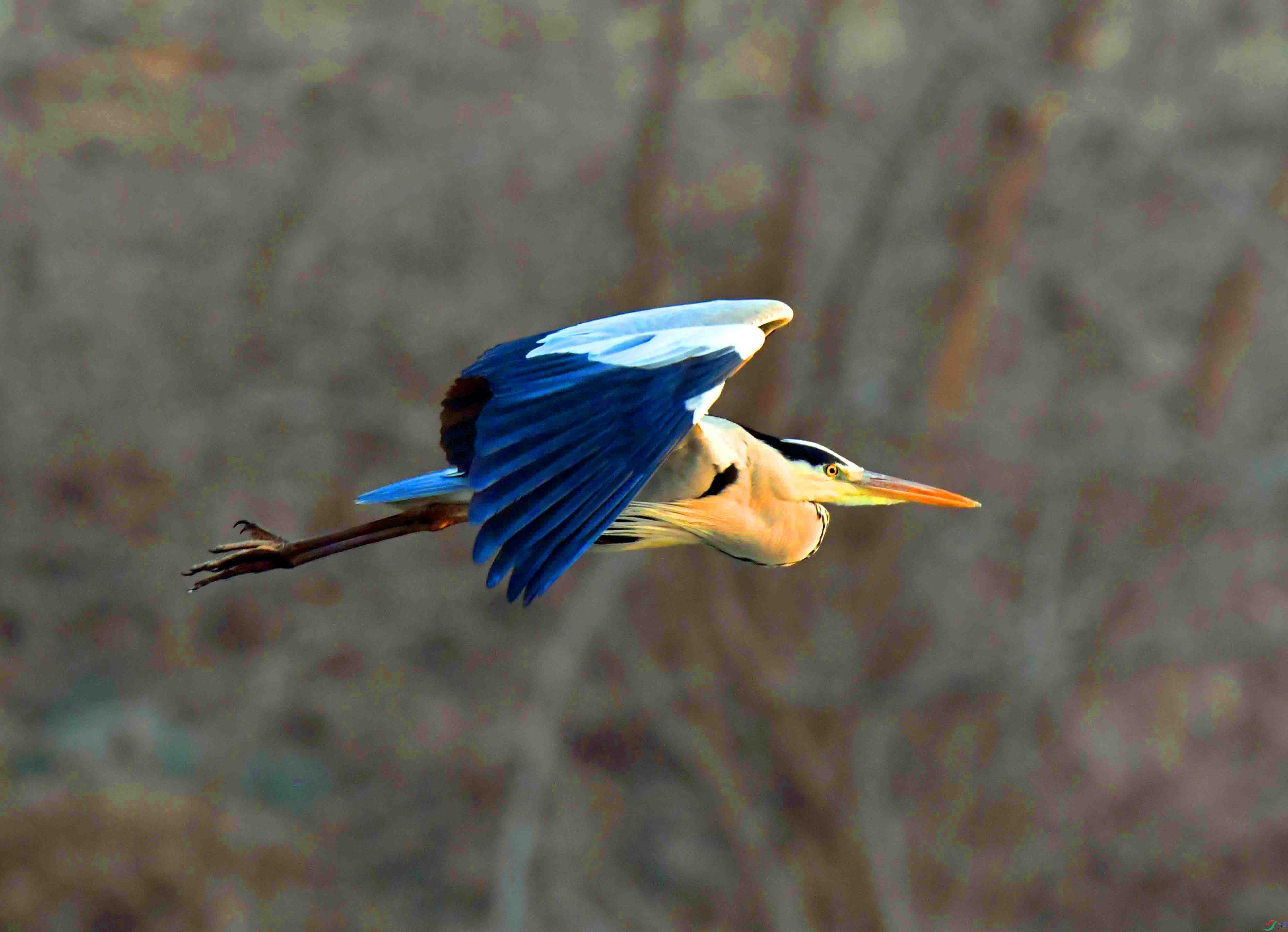 DSC_0555.JPG