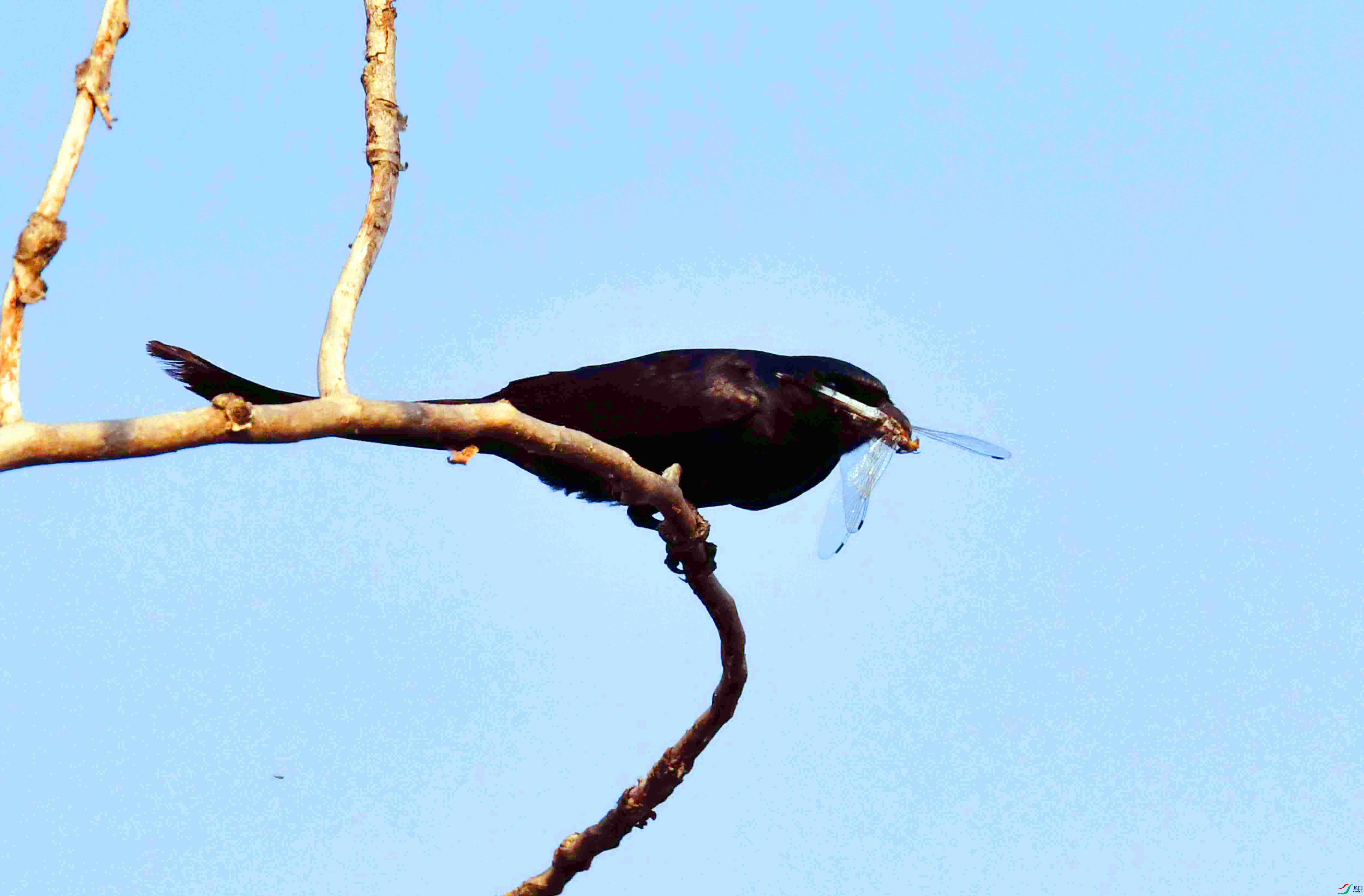 DSC_1959.JPG